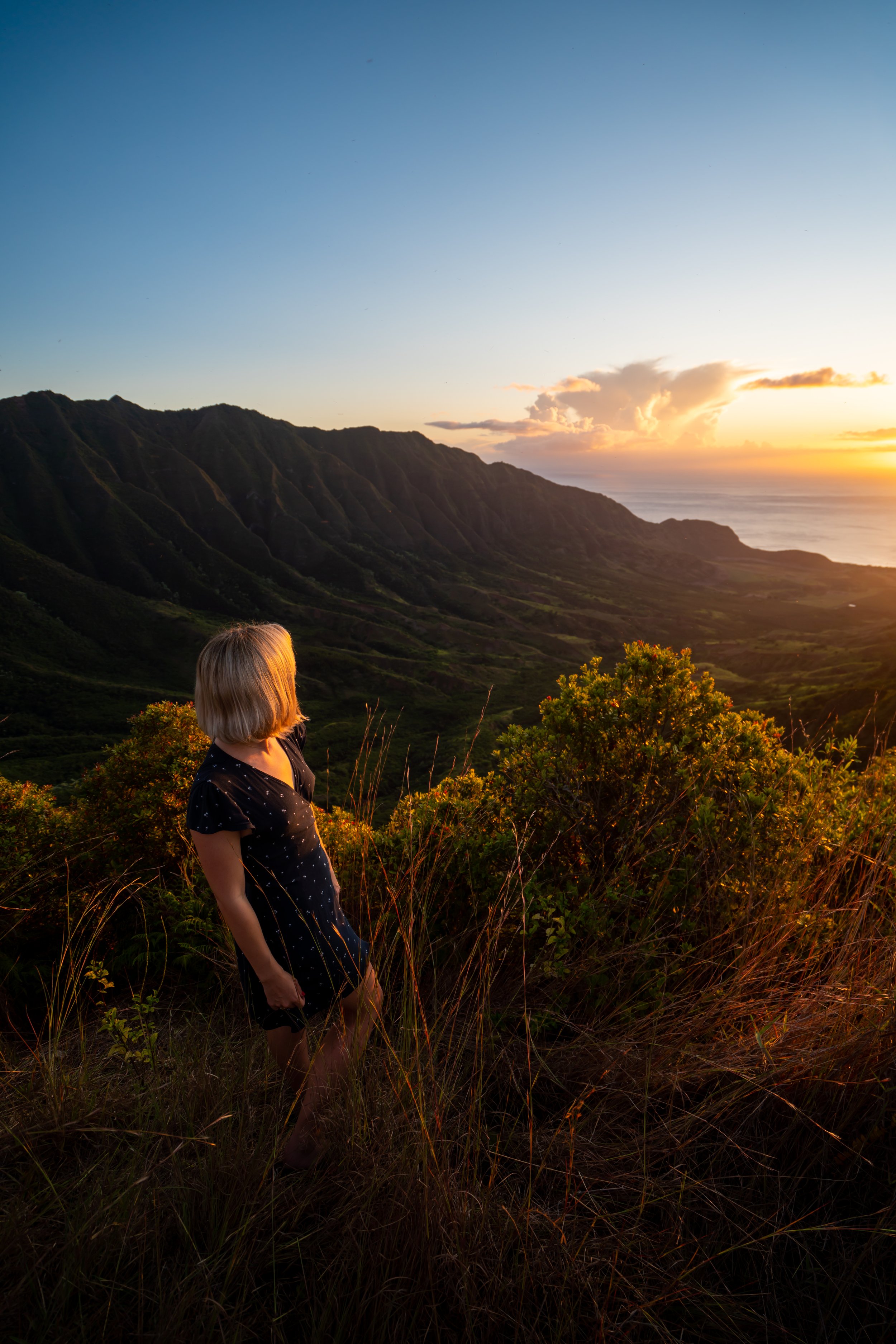 Mokulēʻia Trail