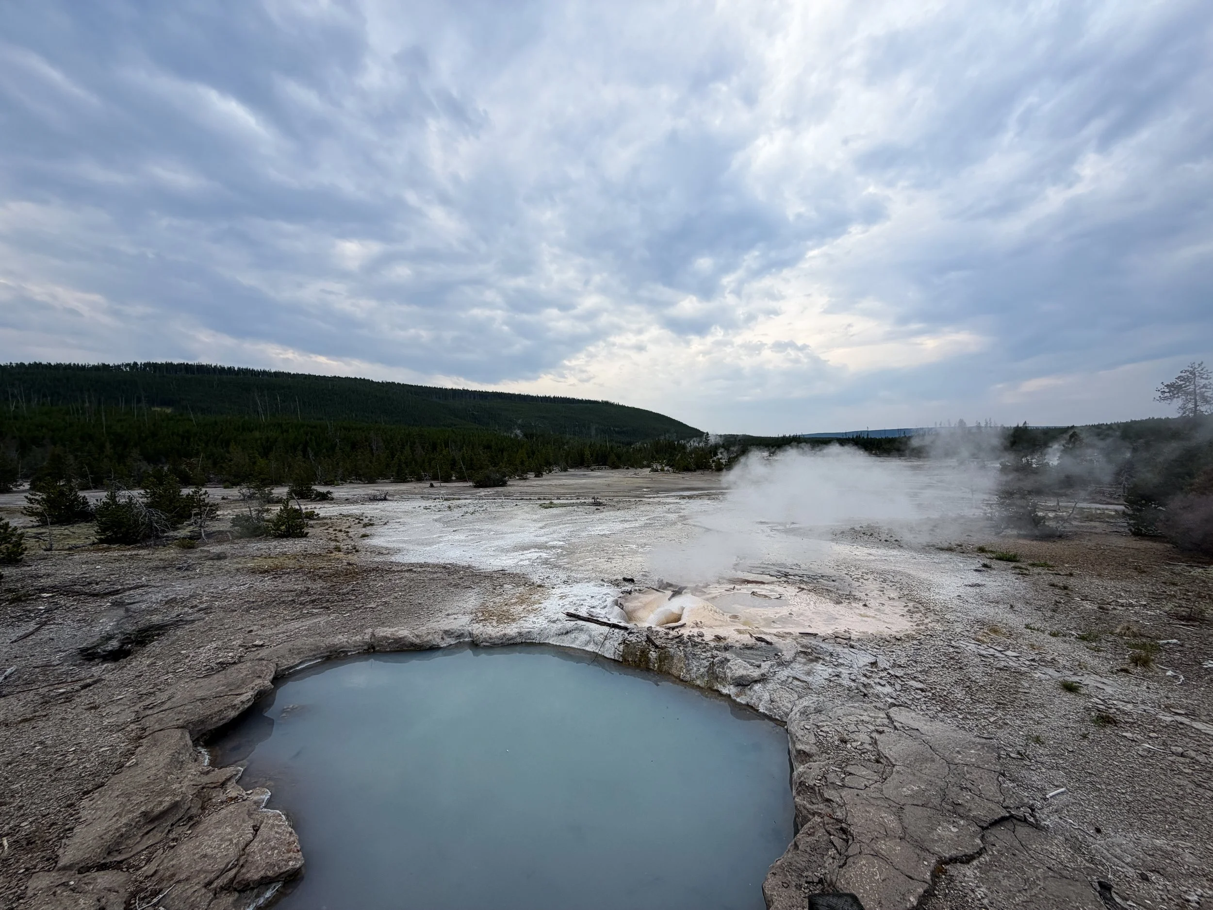 Veteran Geyser Norris Geyser Basin Trail Yellowstone National Park Wyoming
