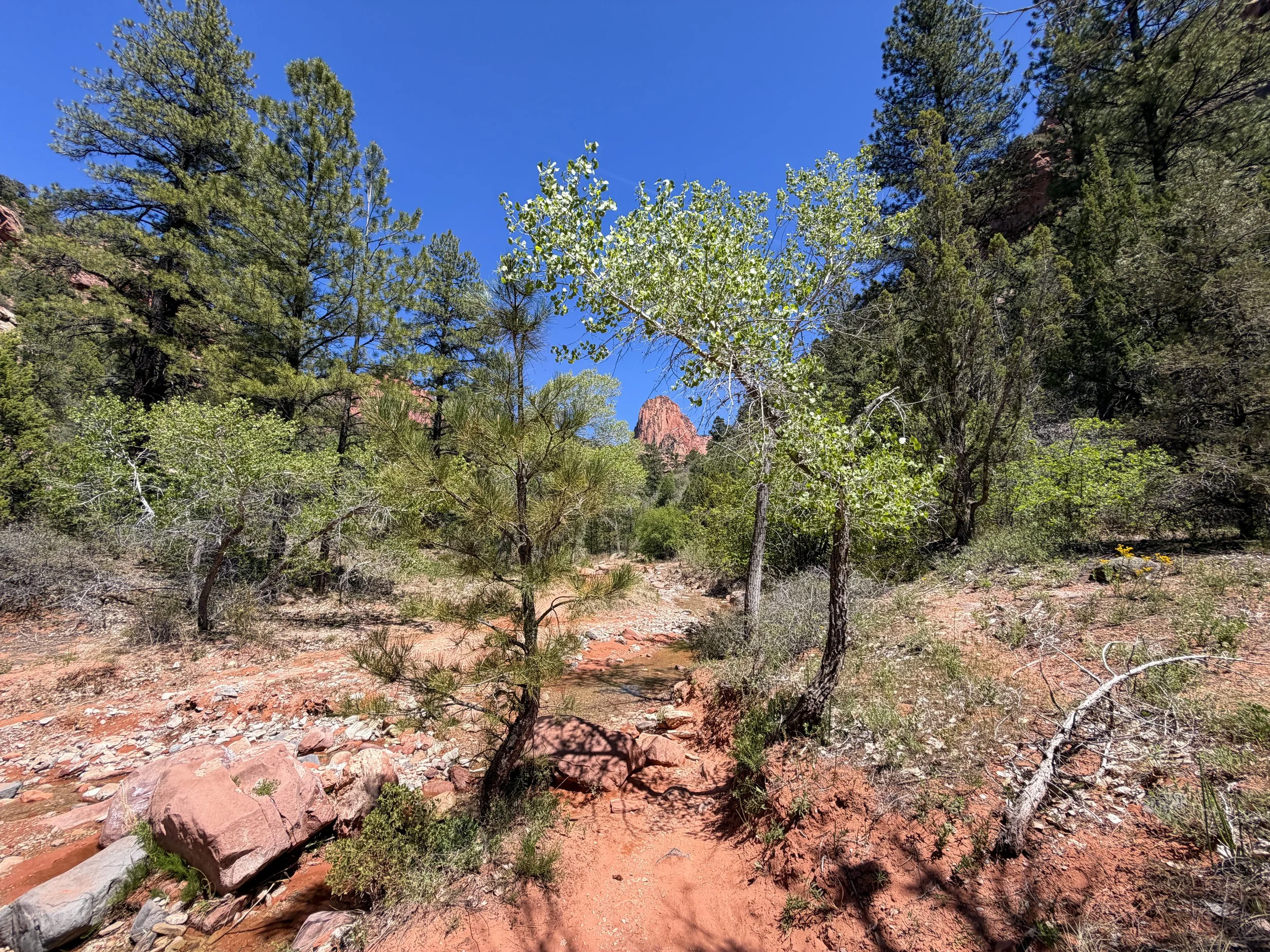 Middle Taylor Creek Trail Zion National Park Utah
