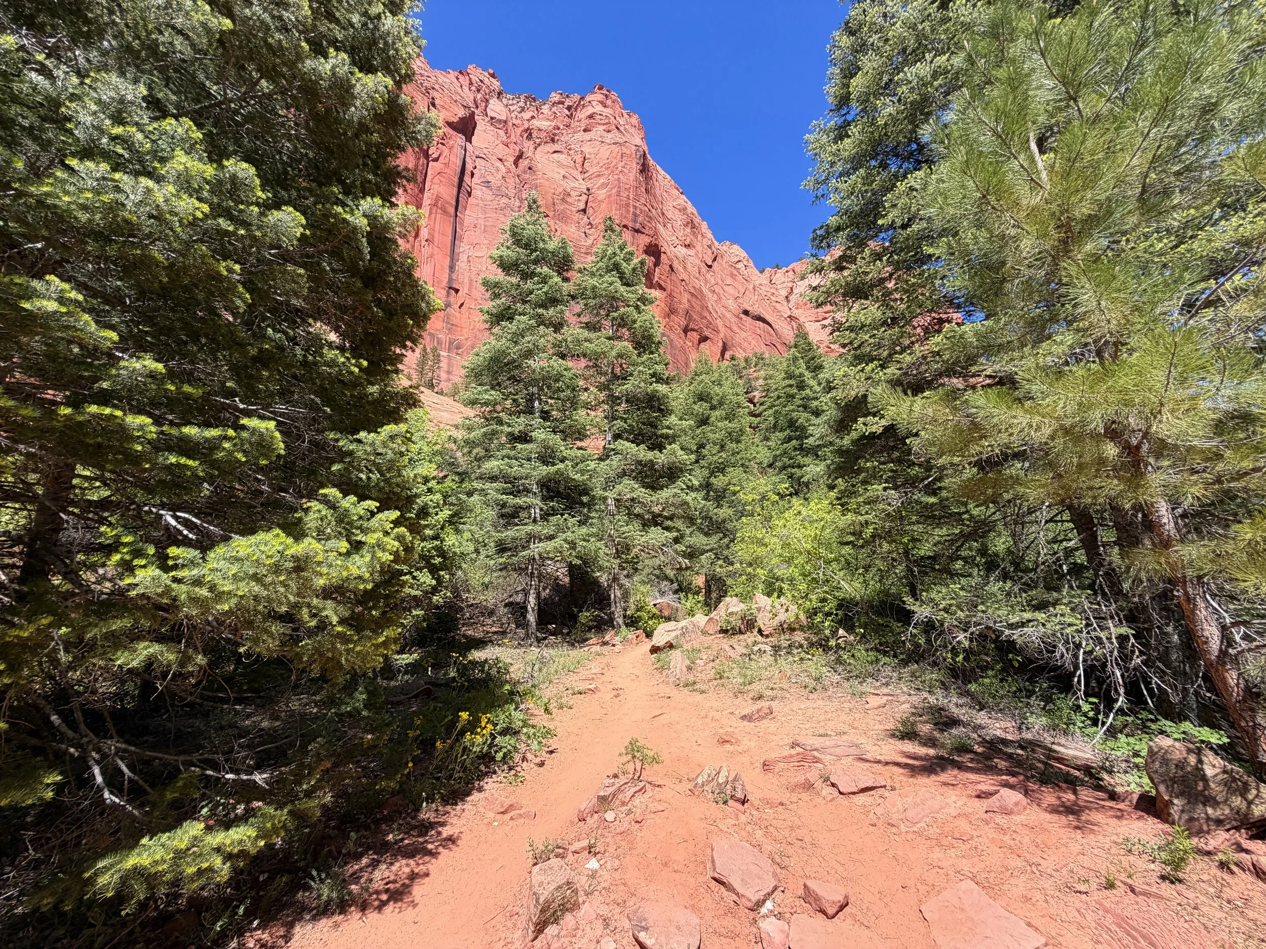 Taylor Creek Trail Zion National Park Utah