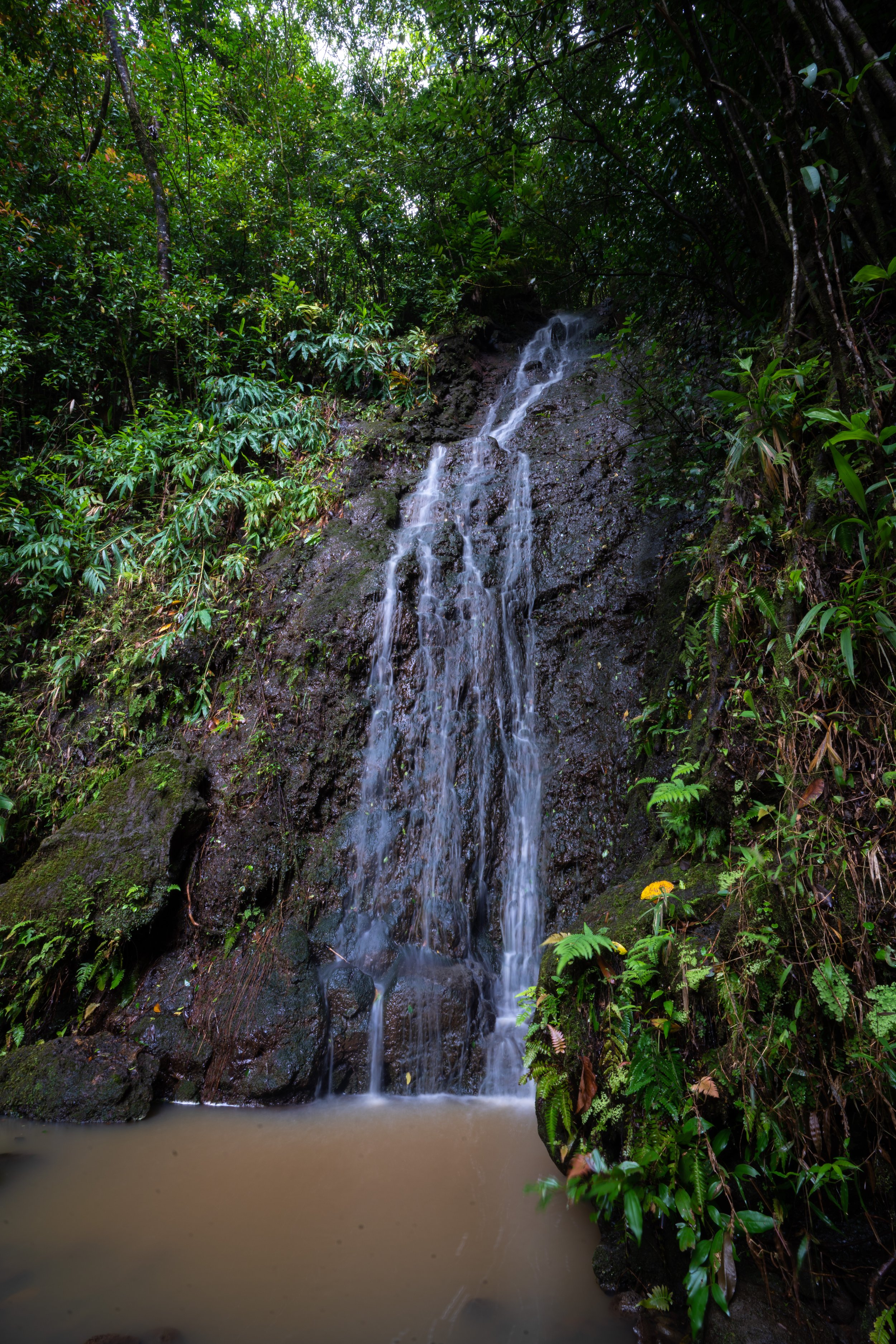 ʻAihualama Falls