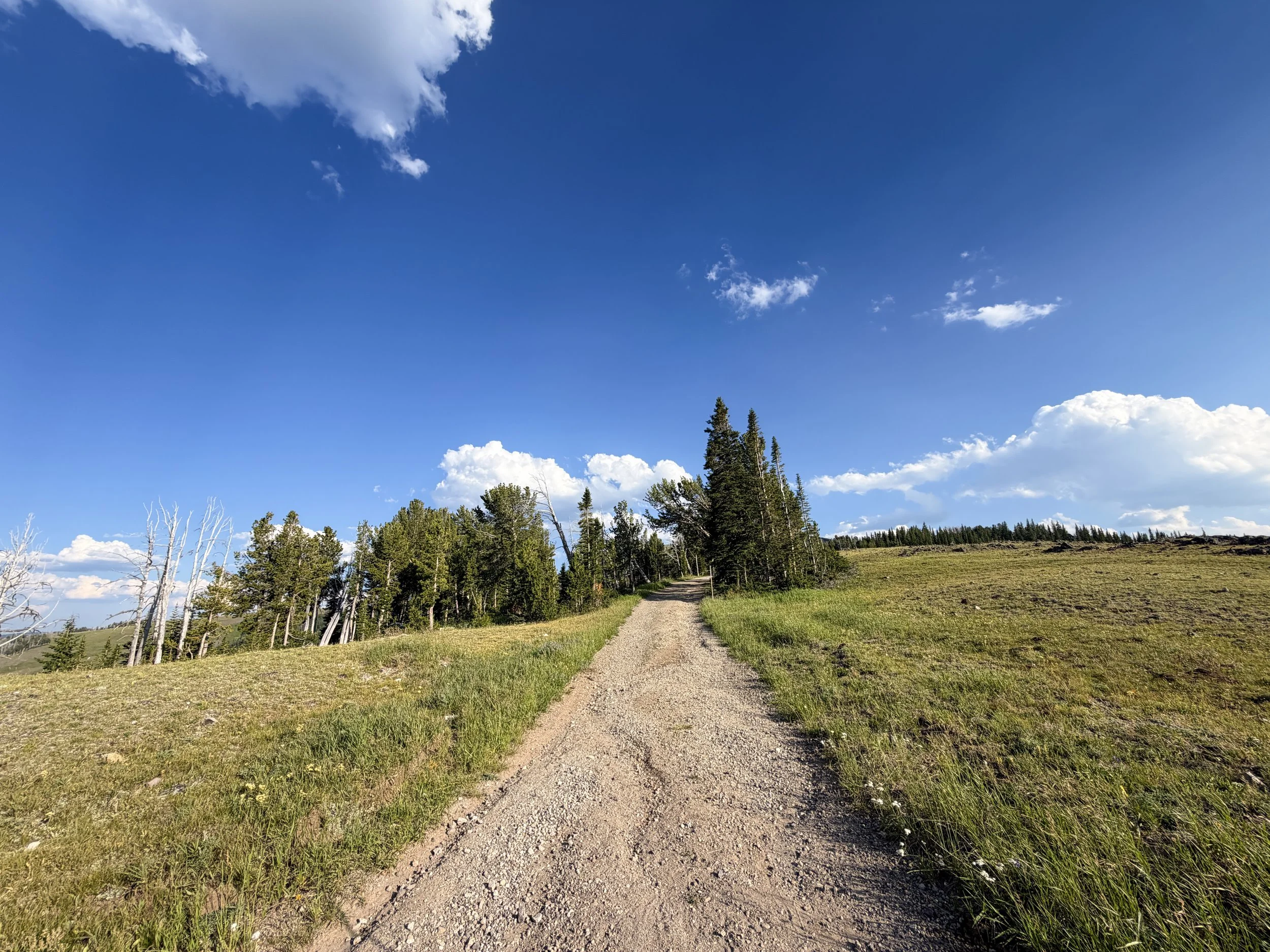 North Mount Washburn Trail Yellowstone National Park Wyoming