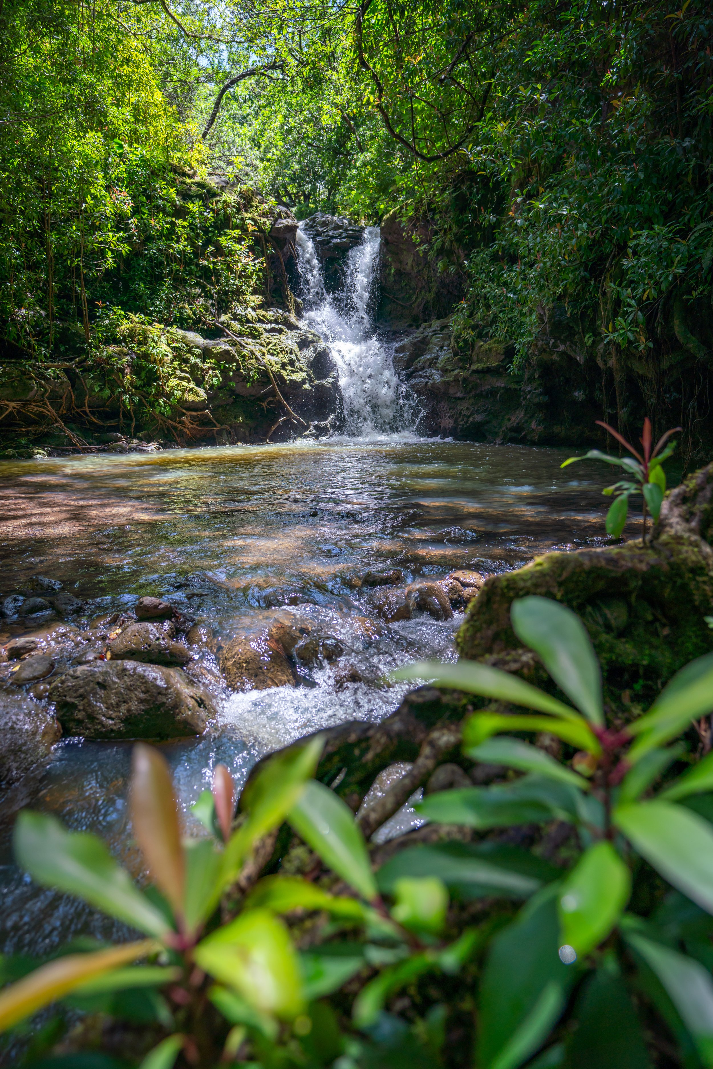 Kalauao Falls