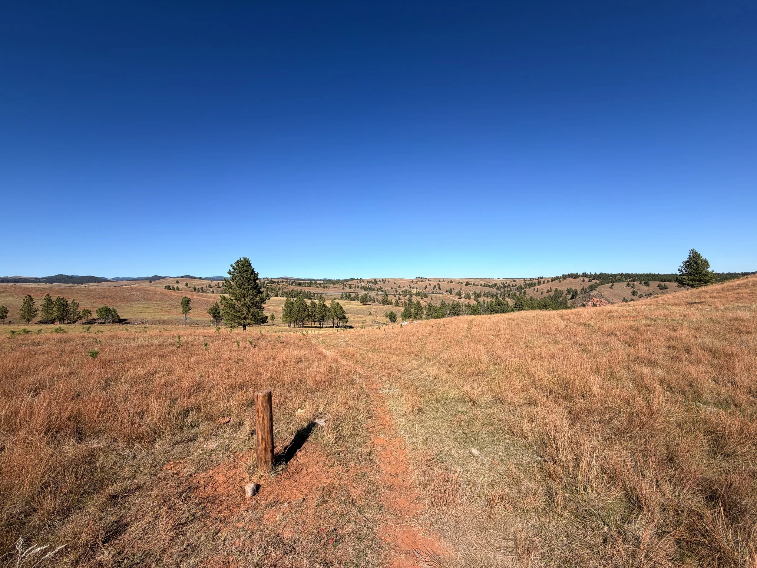 East Bison Flats Trail to Wind Cave Canyon Wind Cave National Park South Dakota
