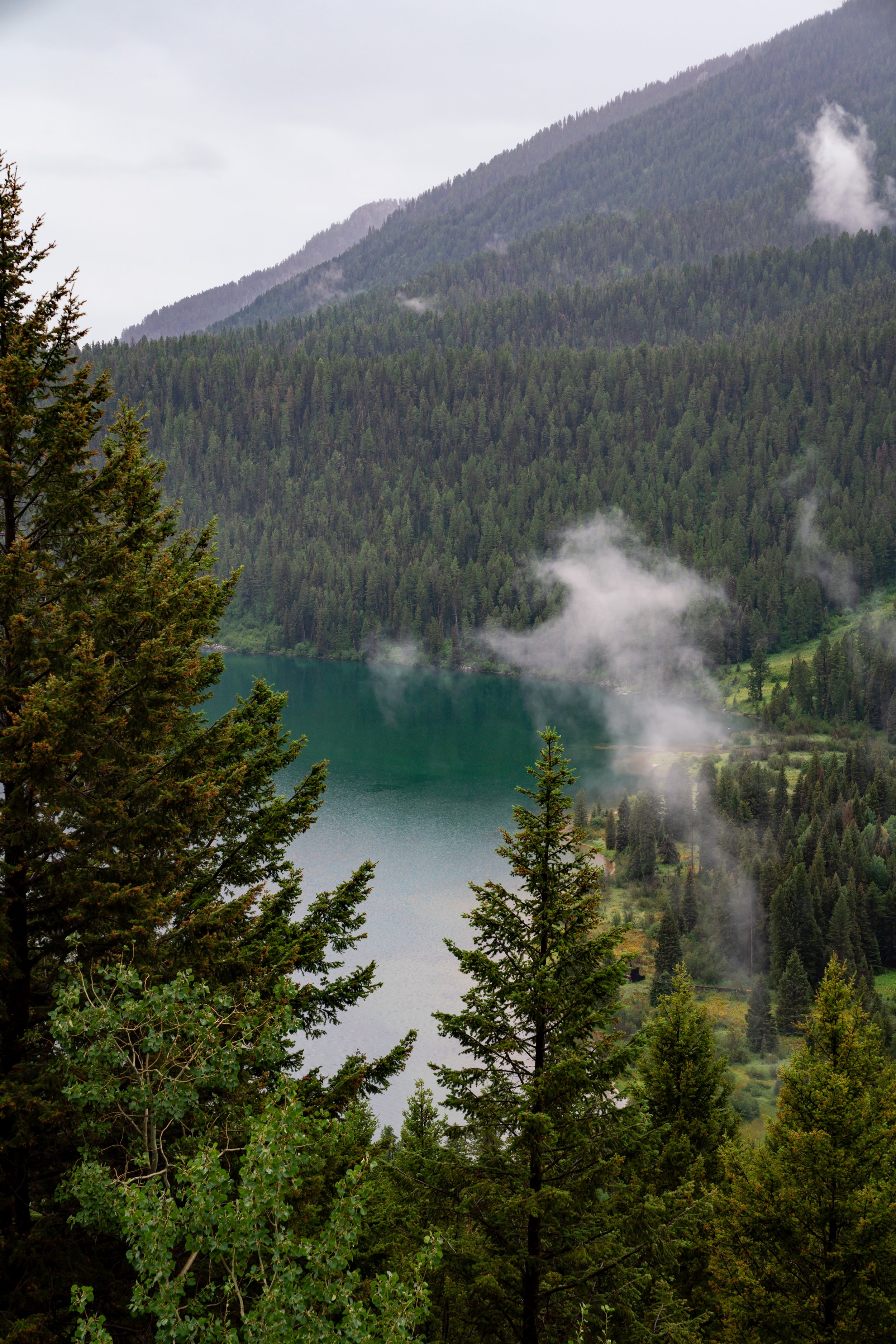 Phelps Lake Overlook