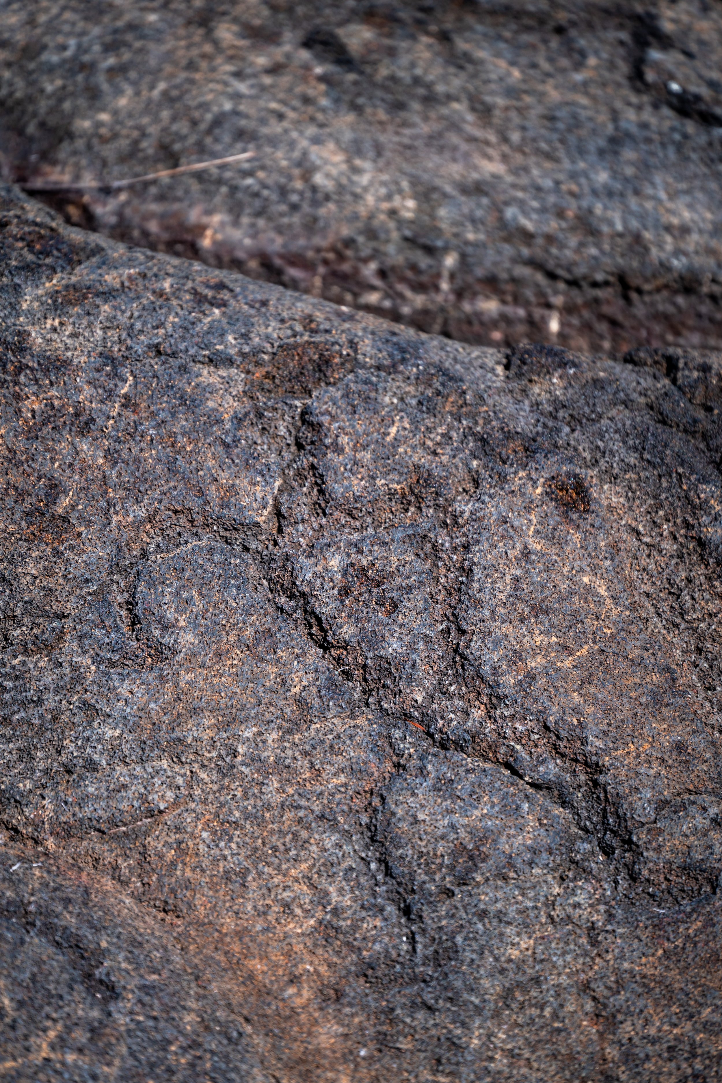 Puʻu Loa Petroglyphs
