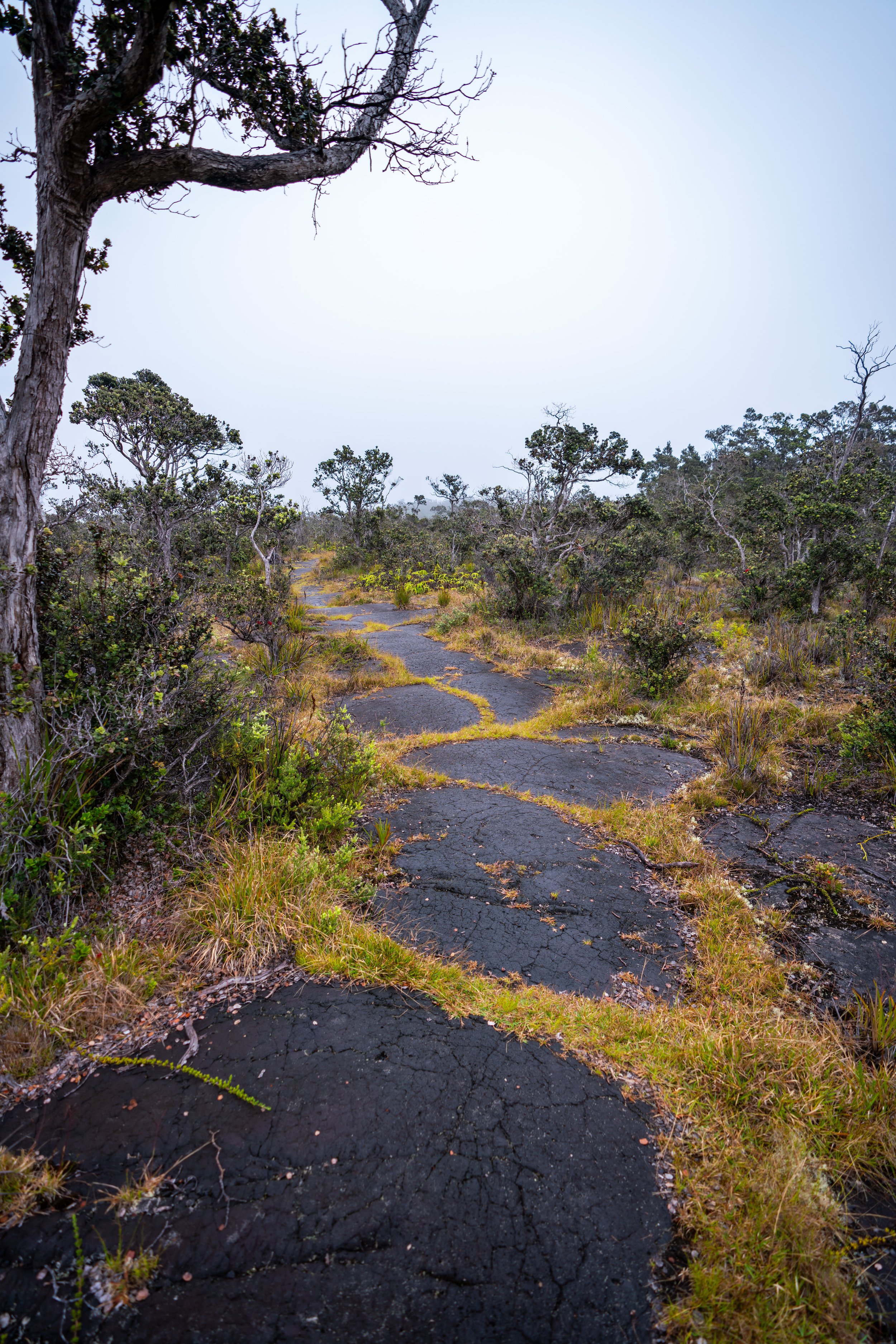 Kaūmana