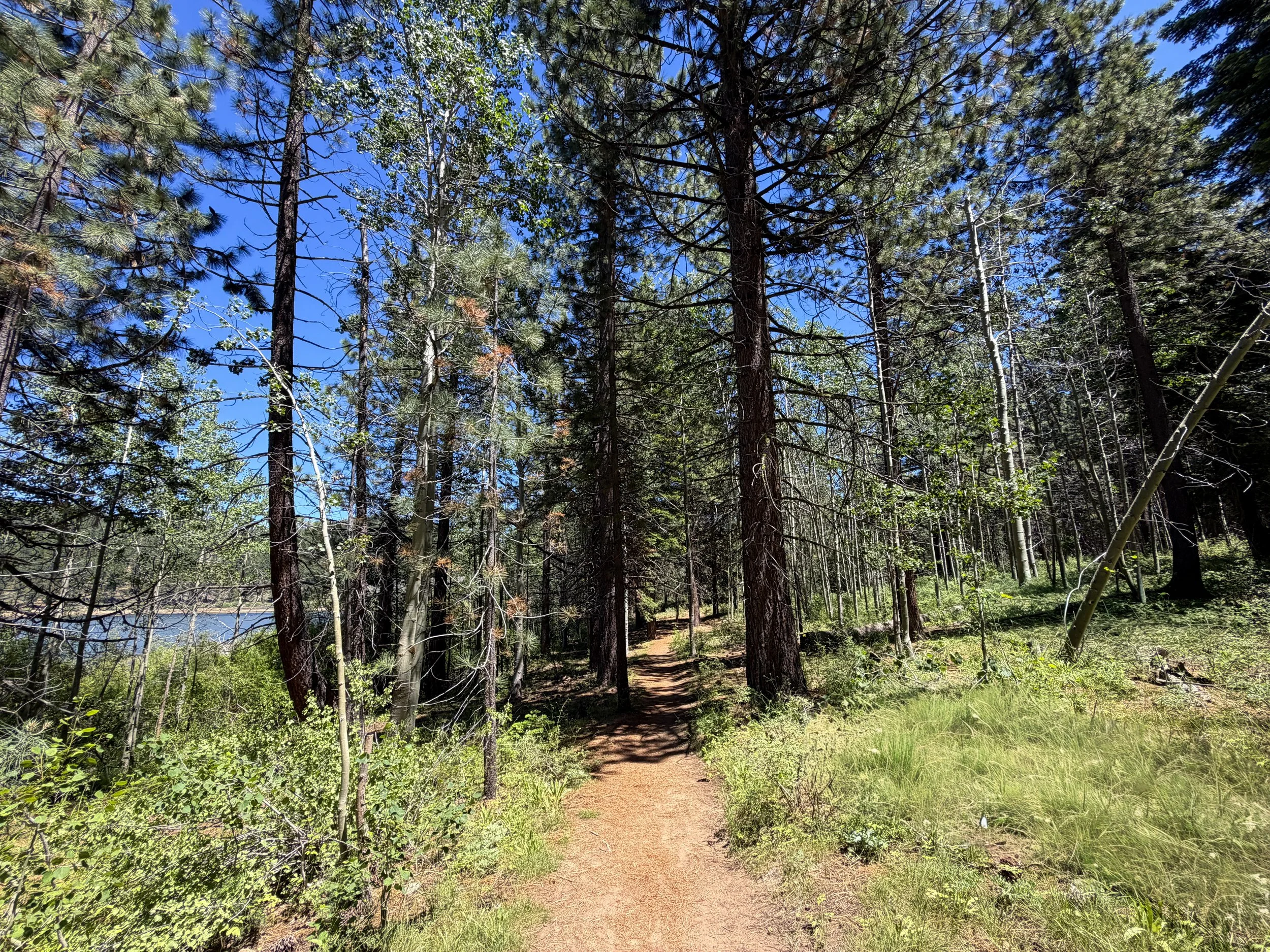 Spooner Lake Loop Trail Lake Tahoe Nevada