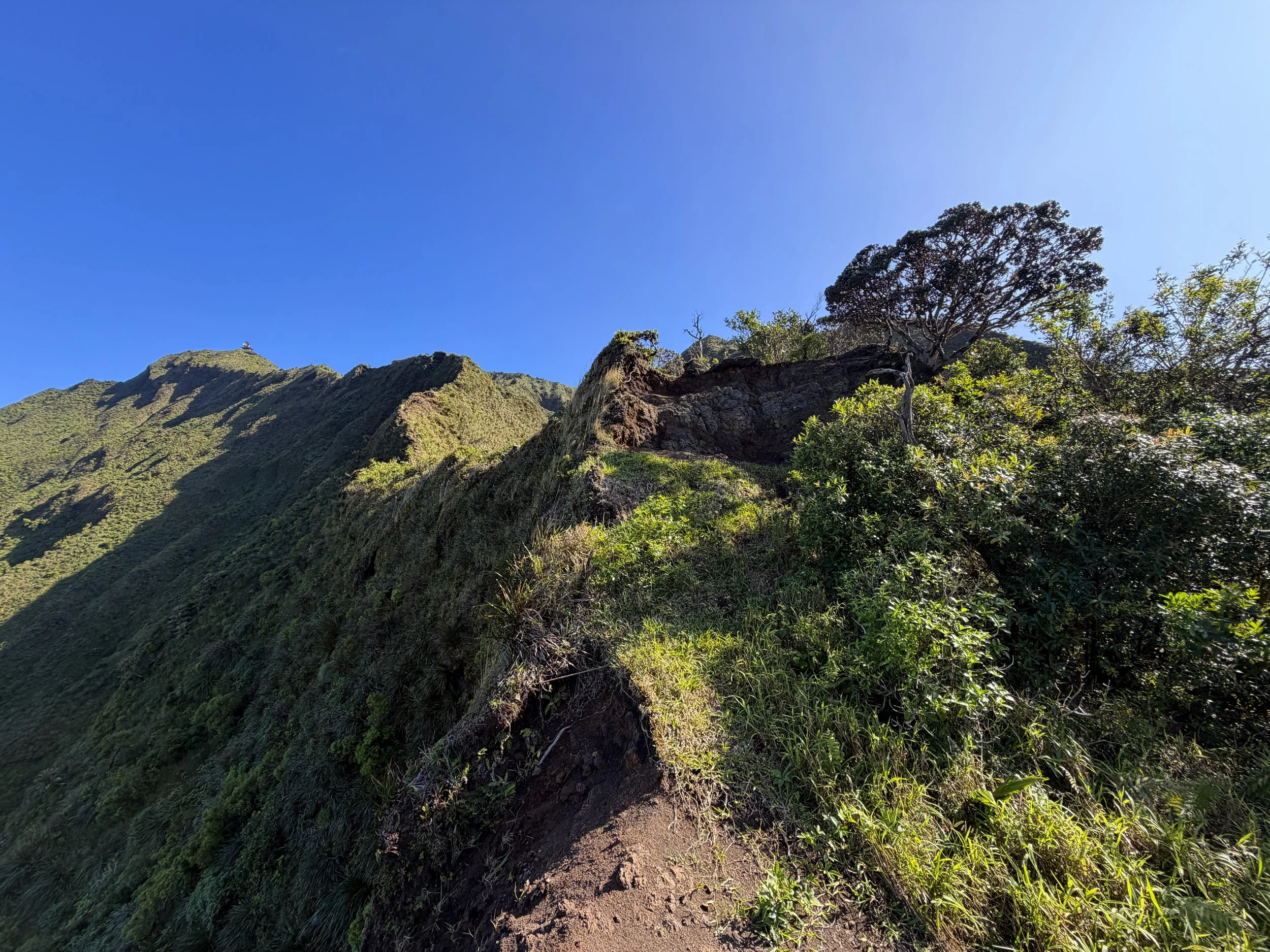 Moanalua Saddle KST Oahu Hawaii