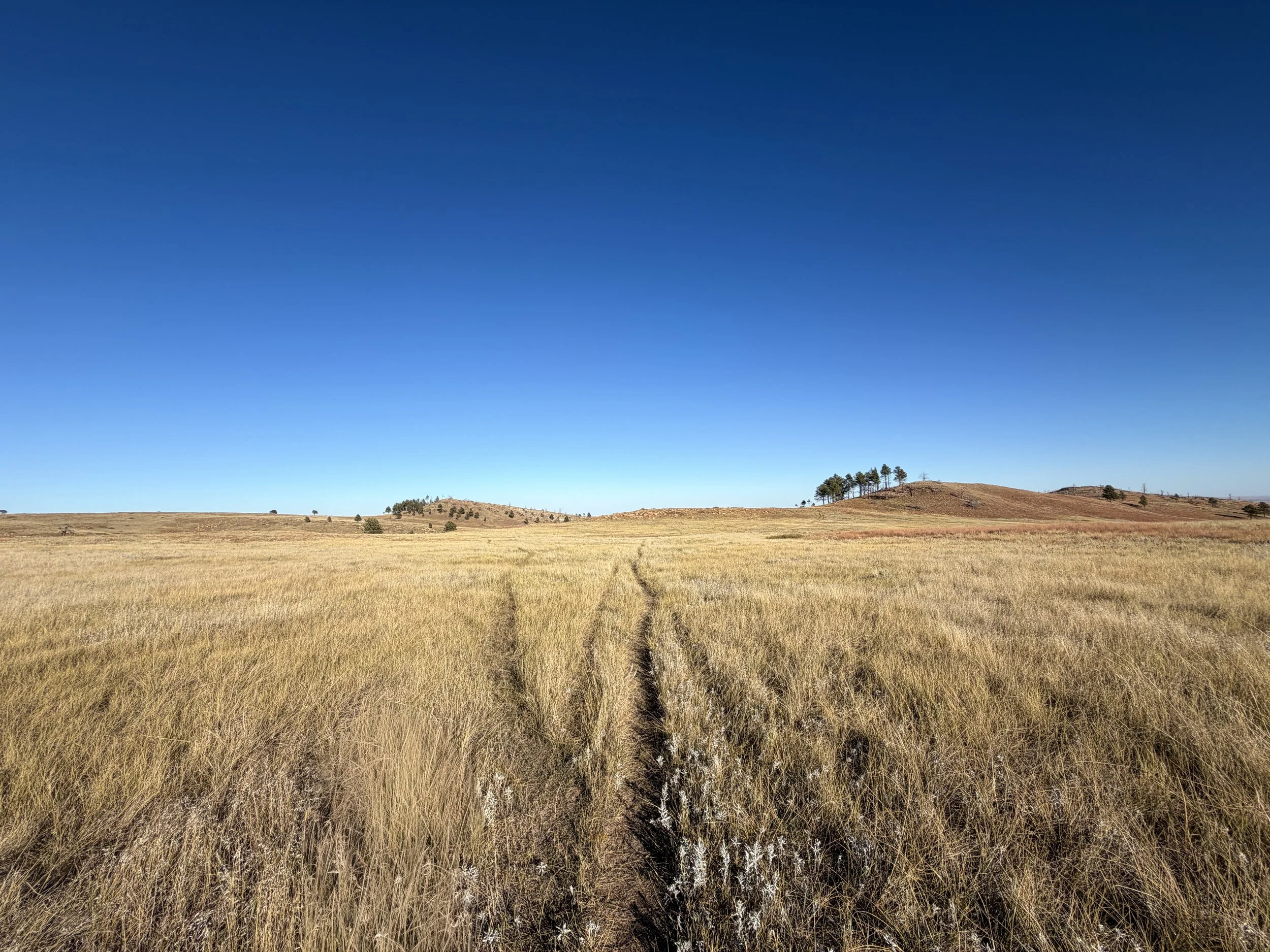 Boland Ridge Trail Wind Cave National Park South Dakota
