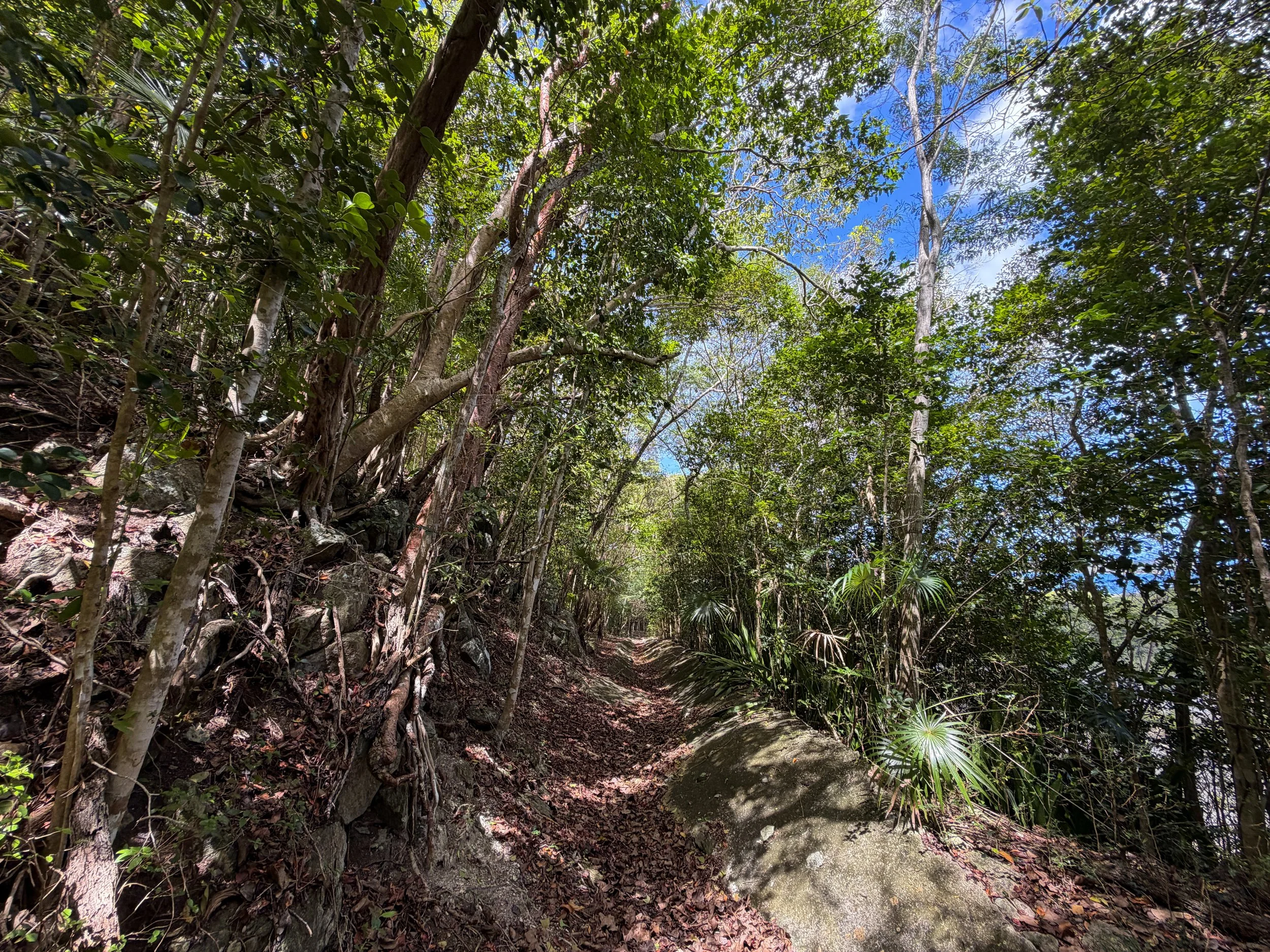 Water Catchment Trail Virgin Islands National Park