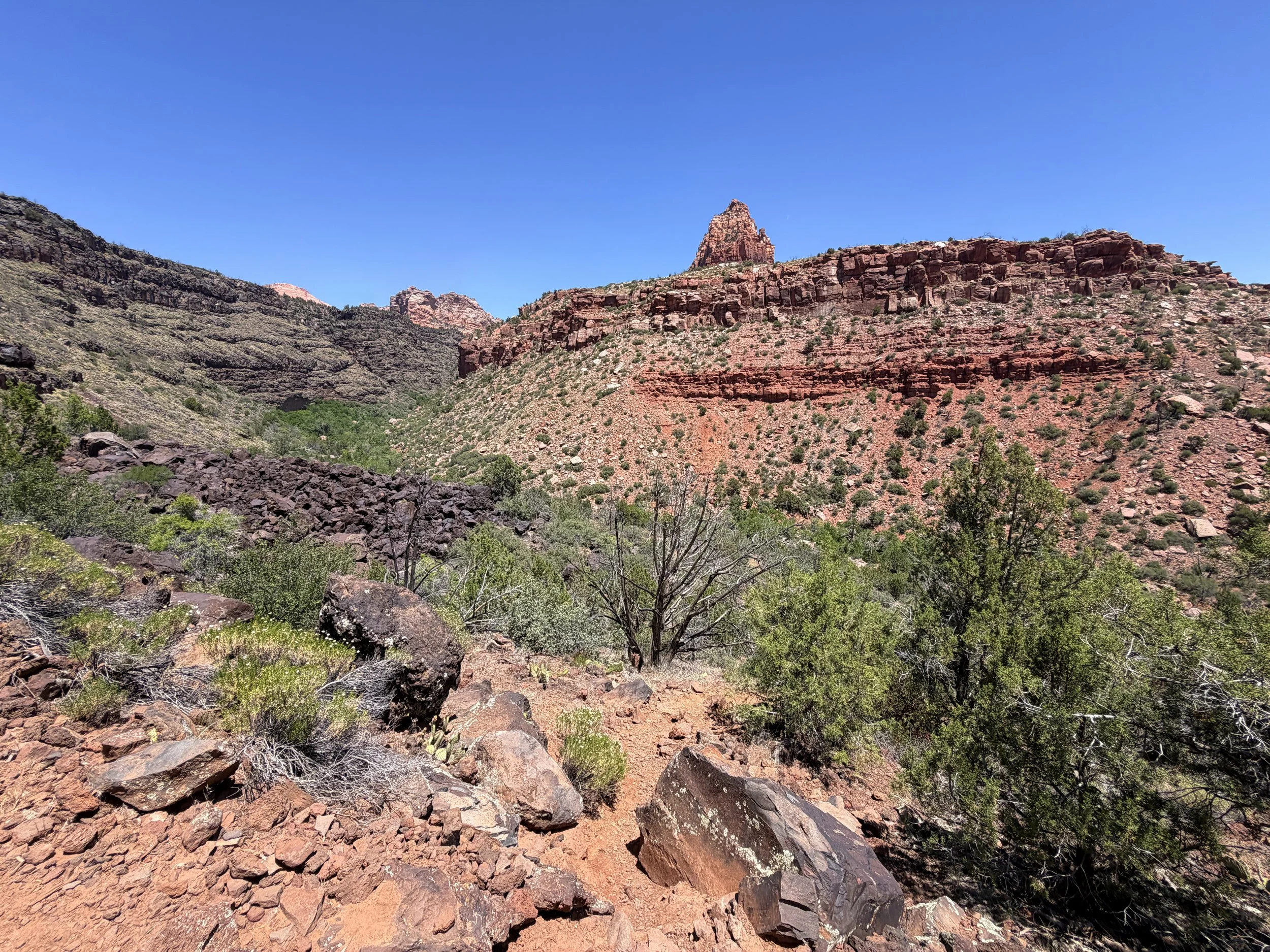 Grapevine Trail to Left Fork Falls Zion National Park Utah