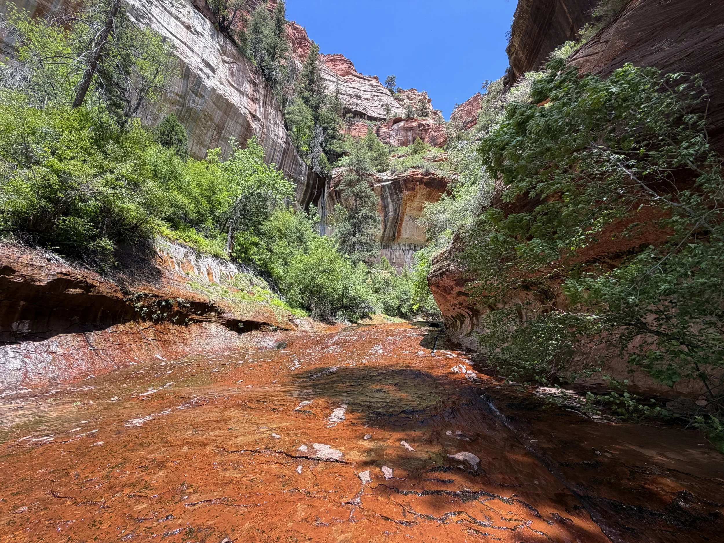 Subway Trail Zion National Park Utah