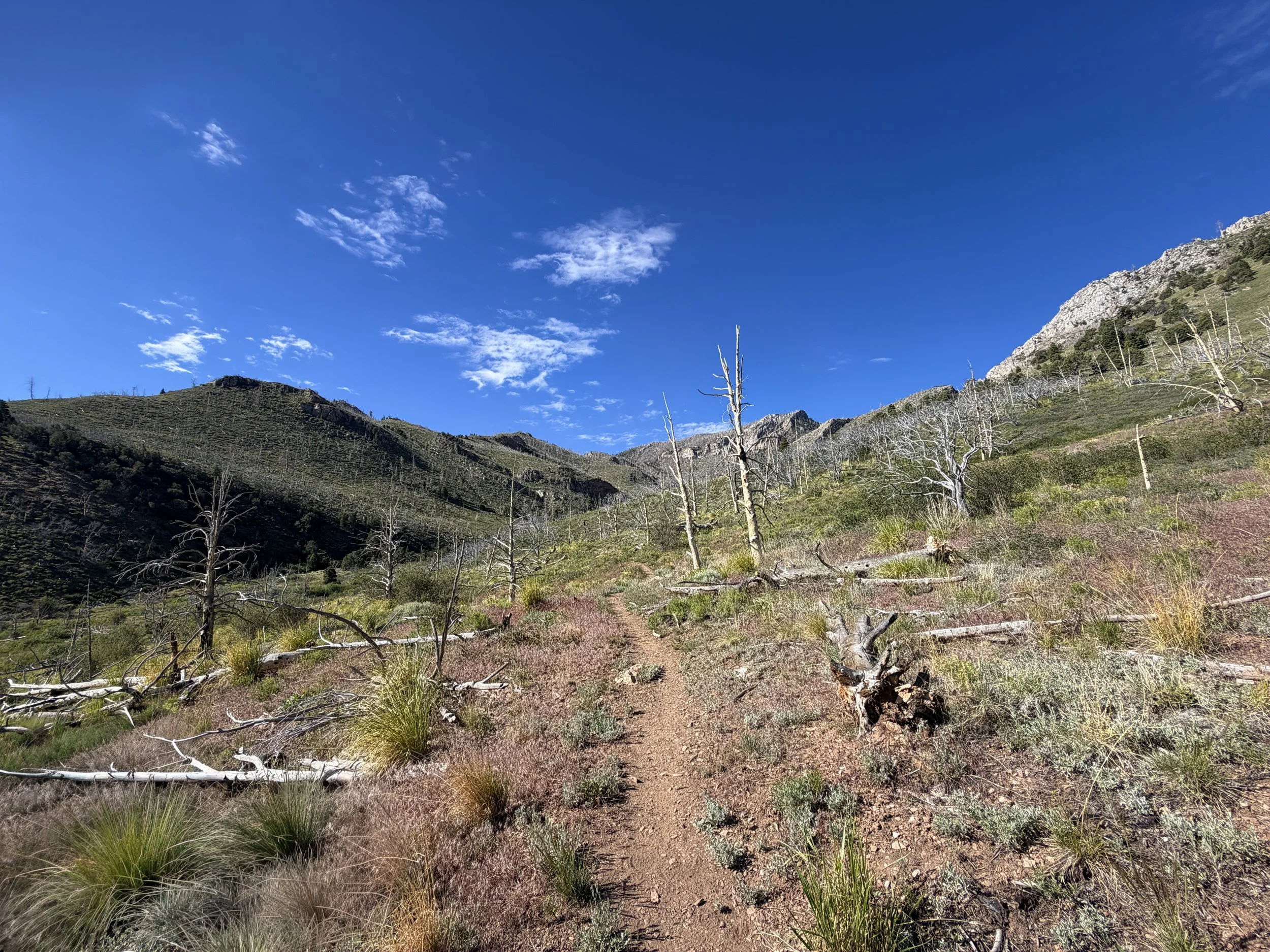 Lexington Arch Trail Great Basin National Park Nevada