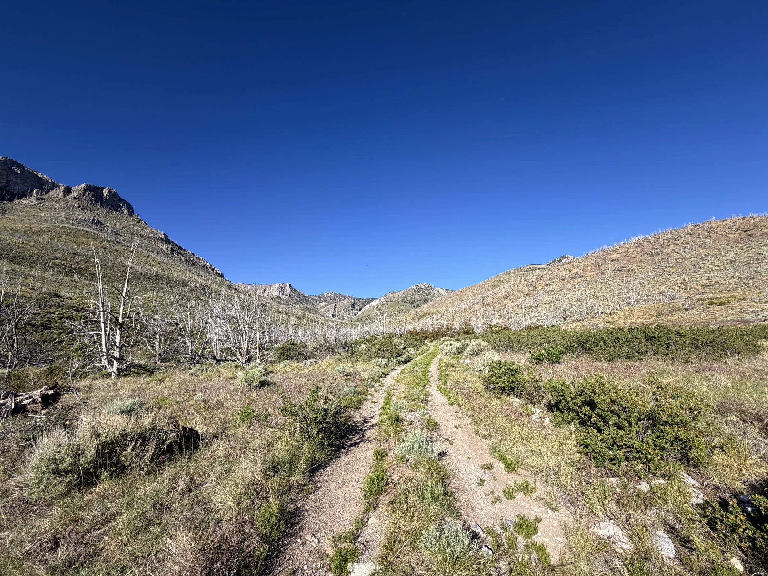Lexington Arch Trail Great Basin National Park Nevada