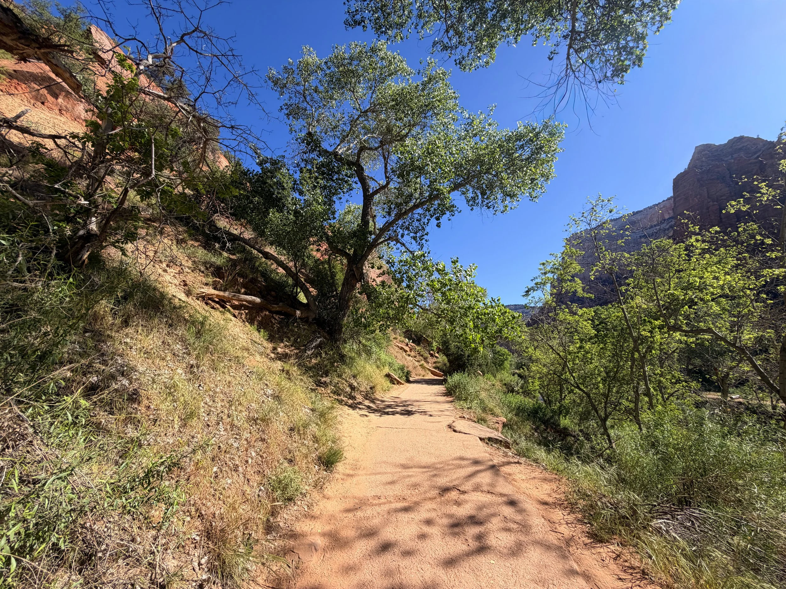 Emerald Pools Trail Zion National Park Utah