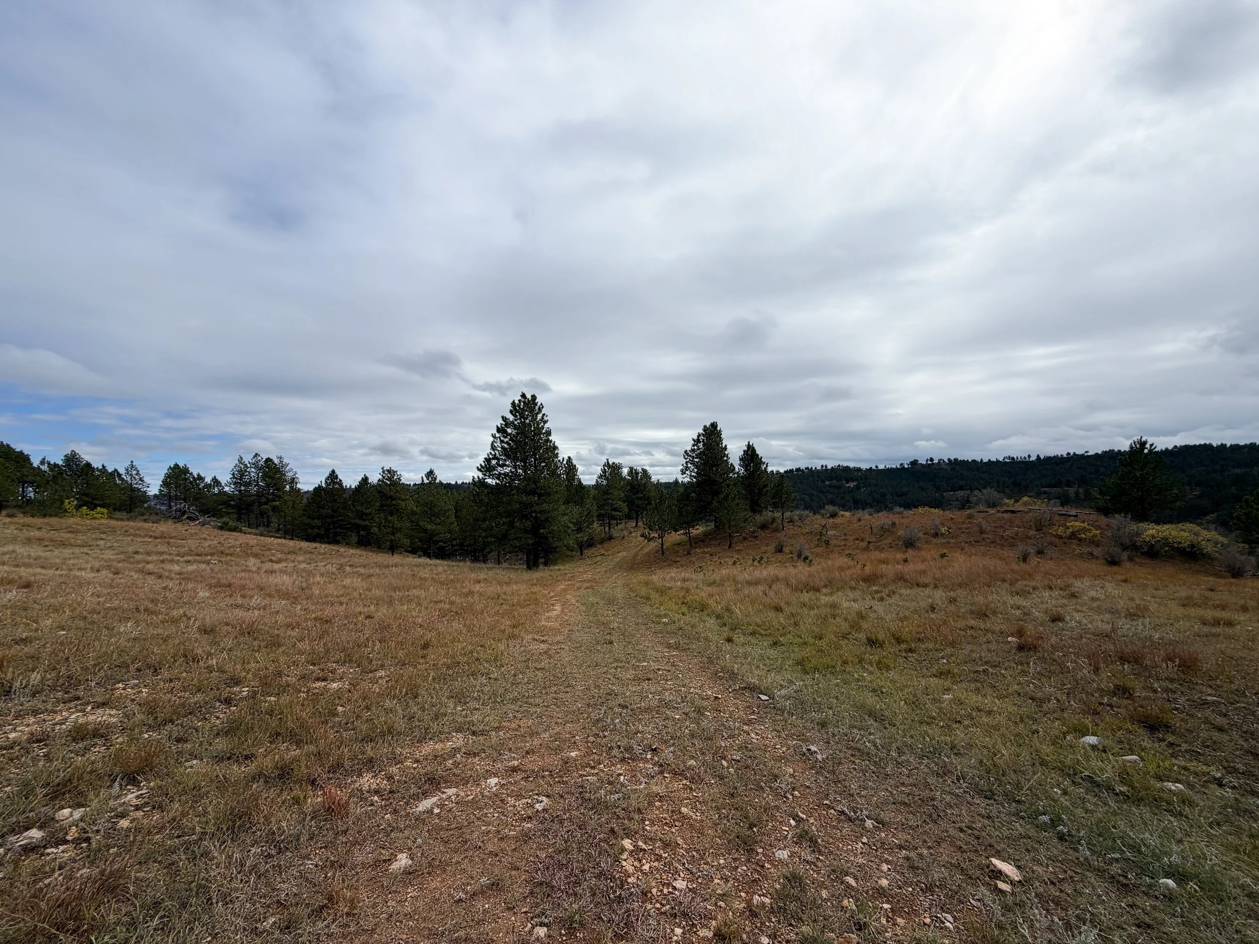 Highland Creek Trail to Wind Cave Canyon Wind Cave National Park South Dakota