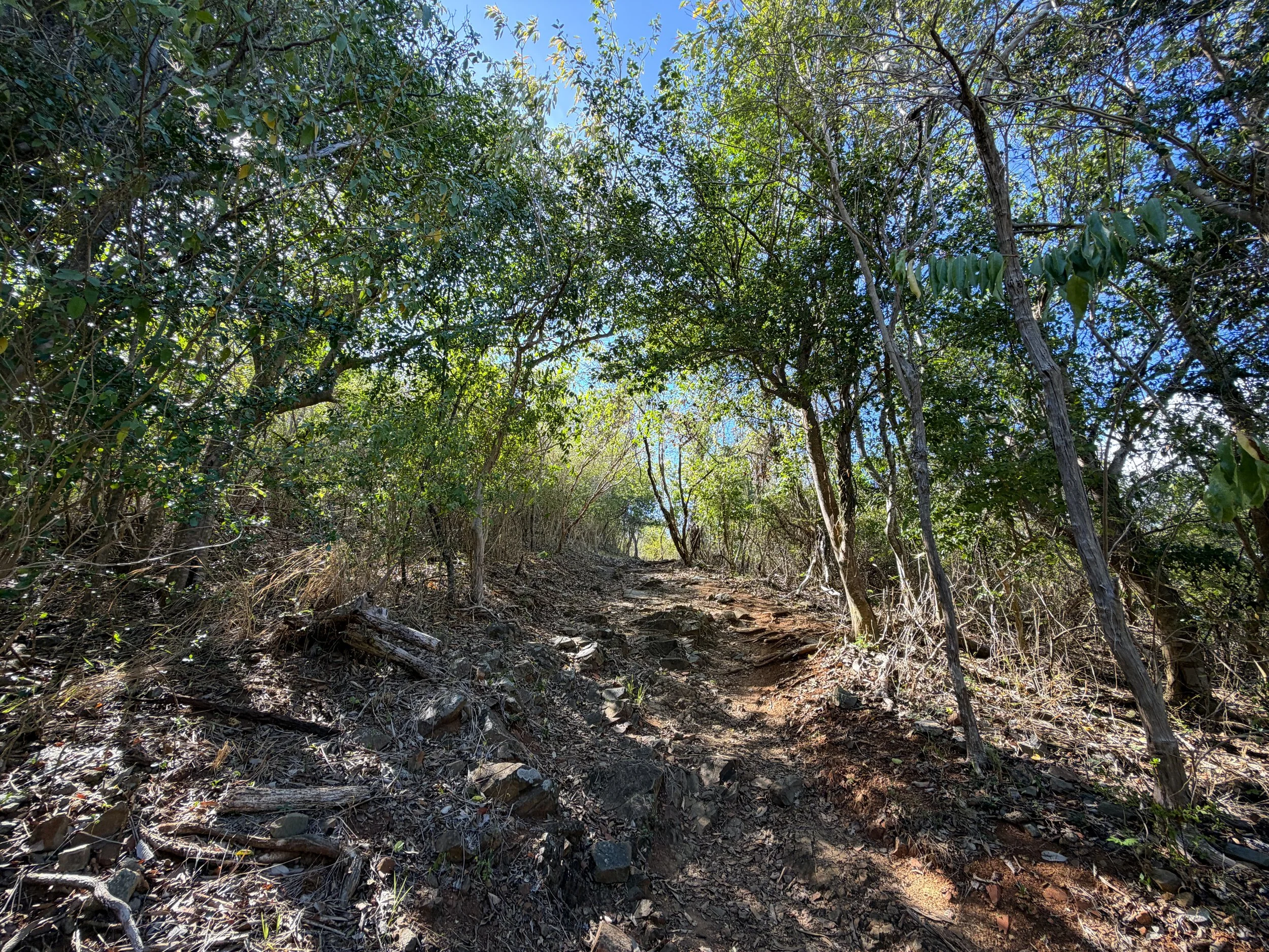 Peace Hill Trail Virgin Islands National Park