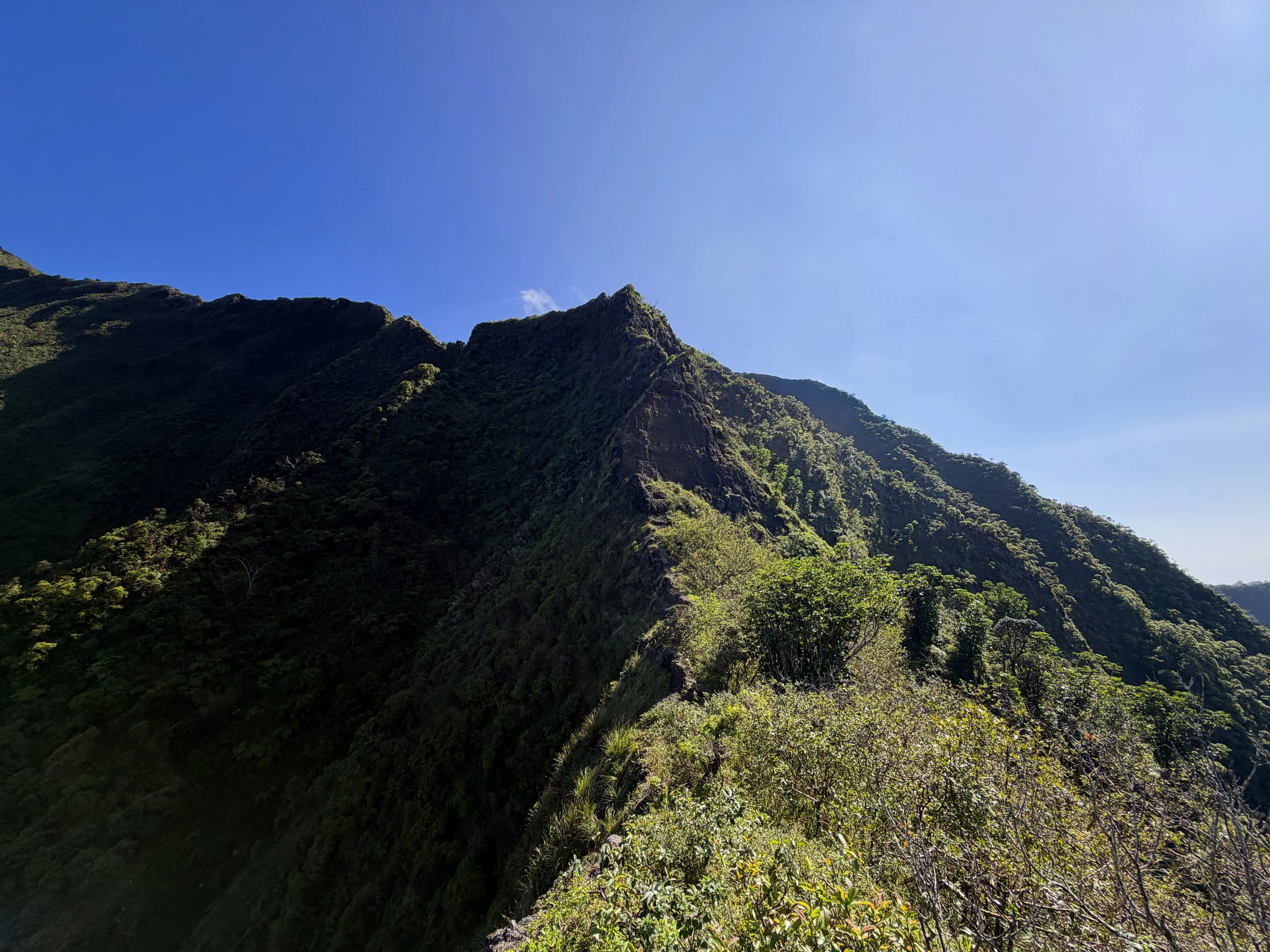 Moanalua Saddle KST Oahu Hawaii