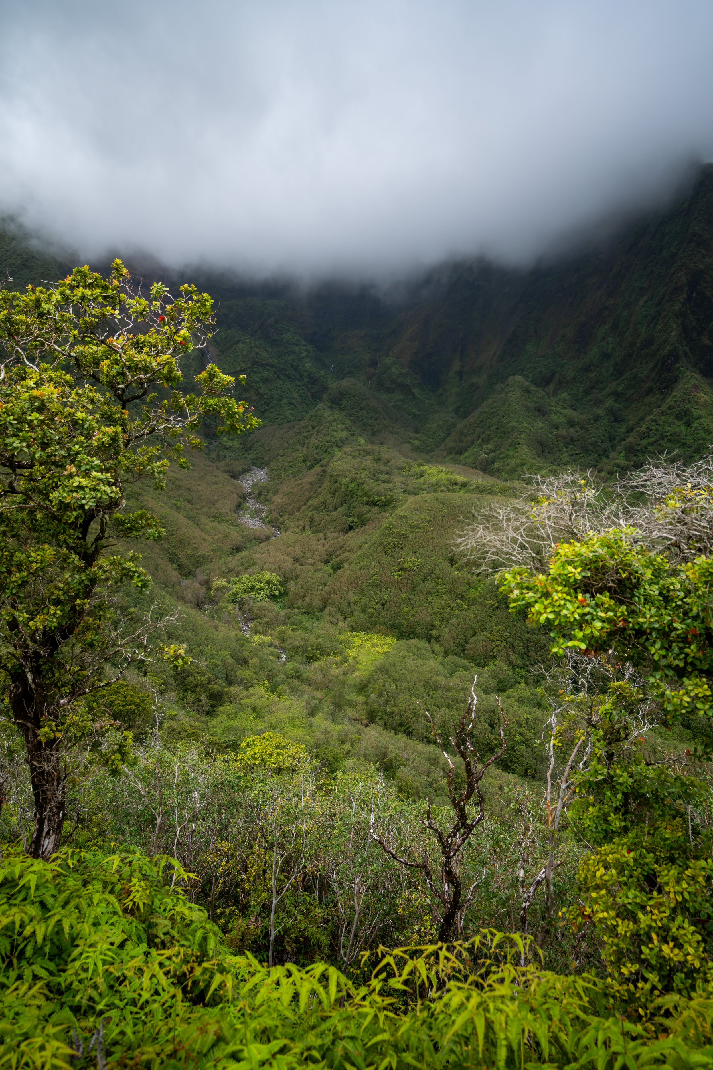 ʻĪao Valley Tableland