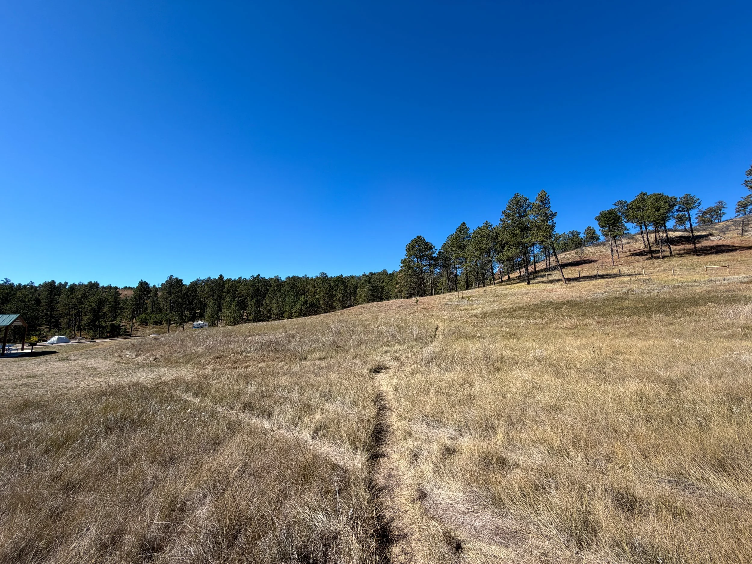 Elk Mountain Nature Loop Trail Wind Cave National Park South Dakota