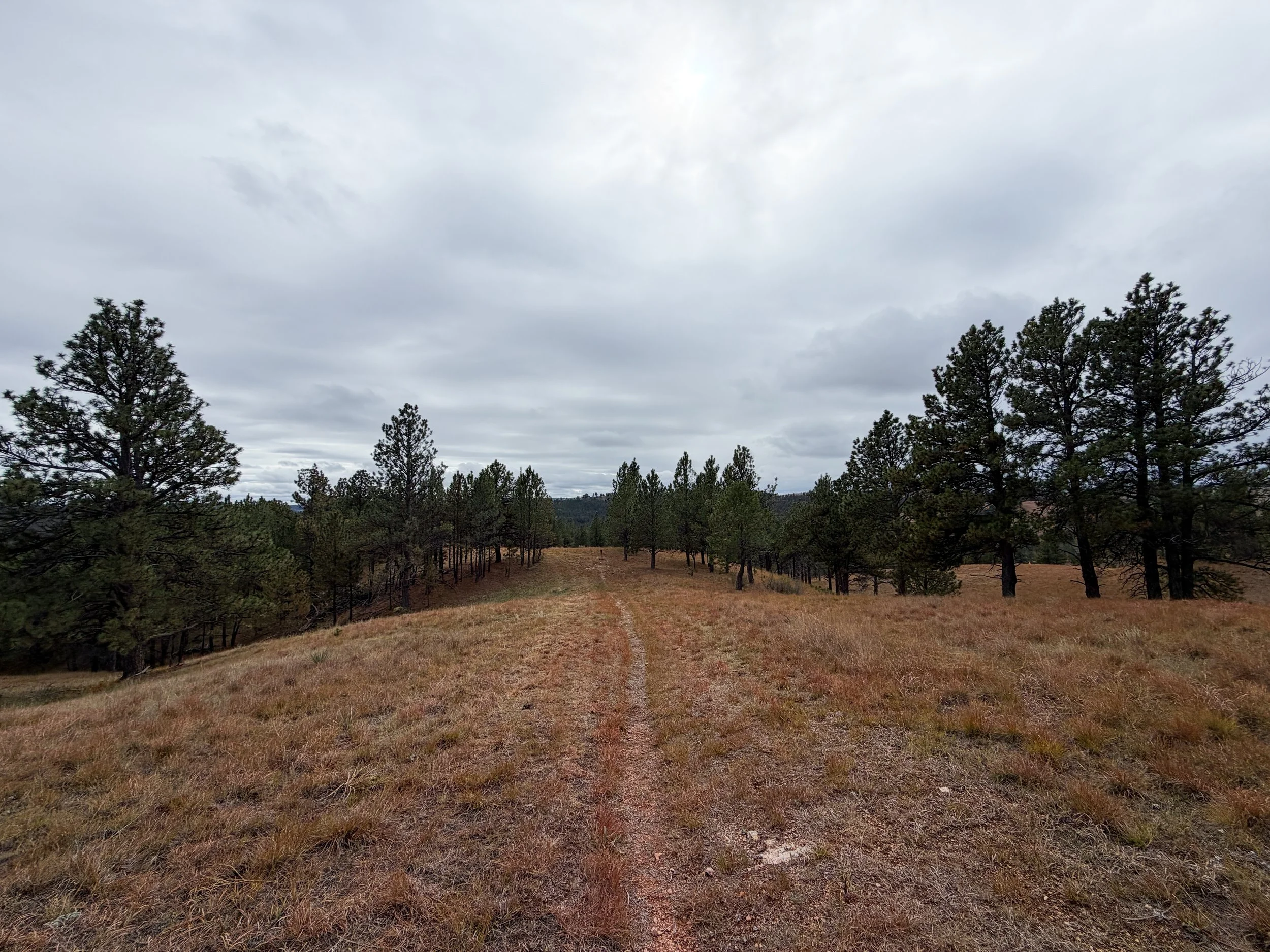 Highland Creek Trail to Wind Cave Canyon Wind Cave National Park South Dakota