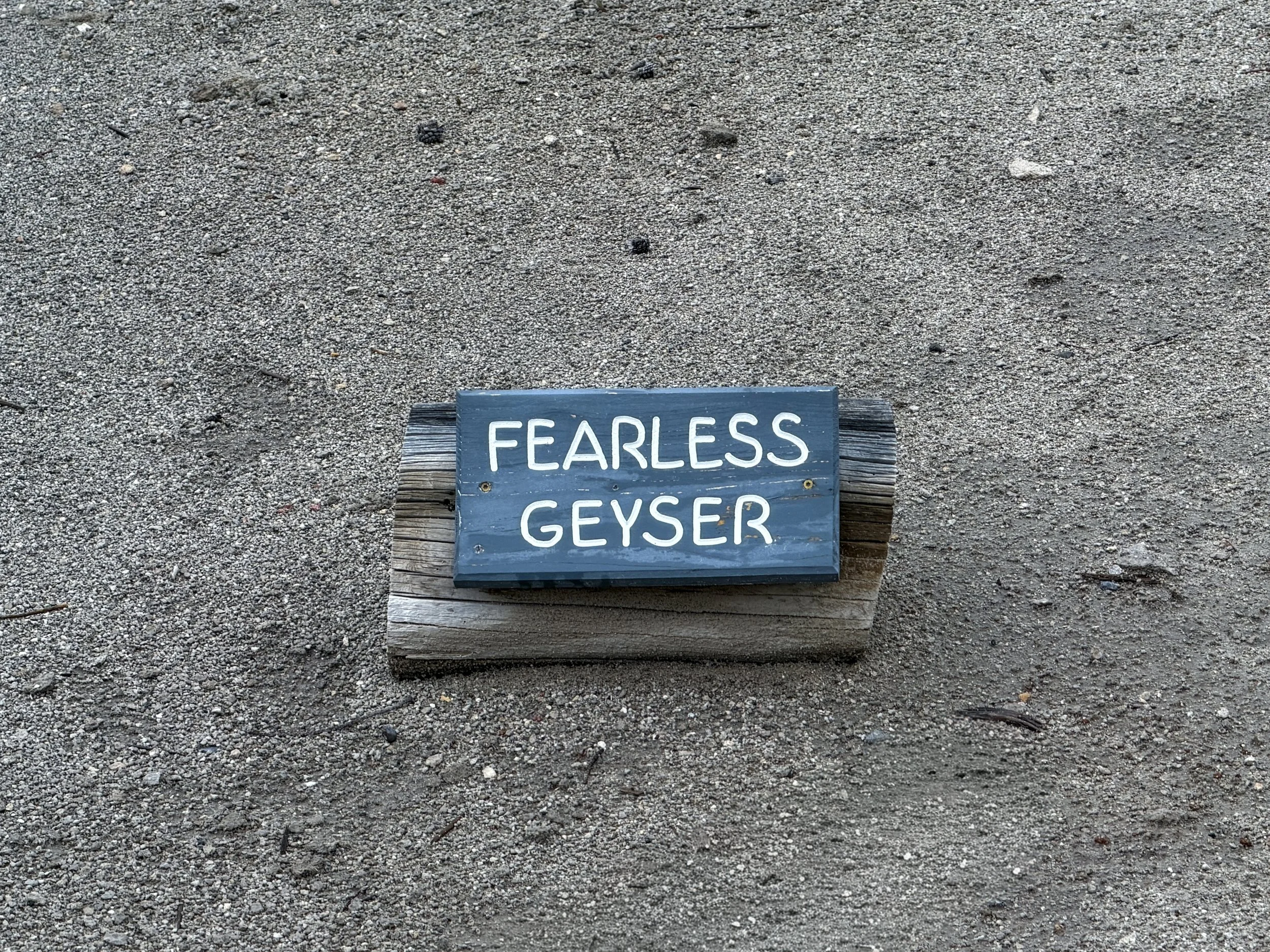 Fearless Geyser Norris Geyser Basin Trail Yellowstone National Park Wyoming