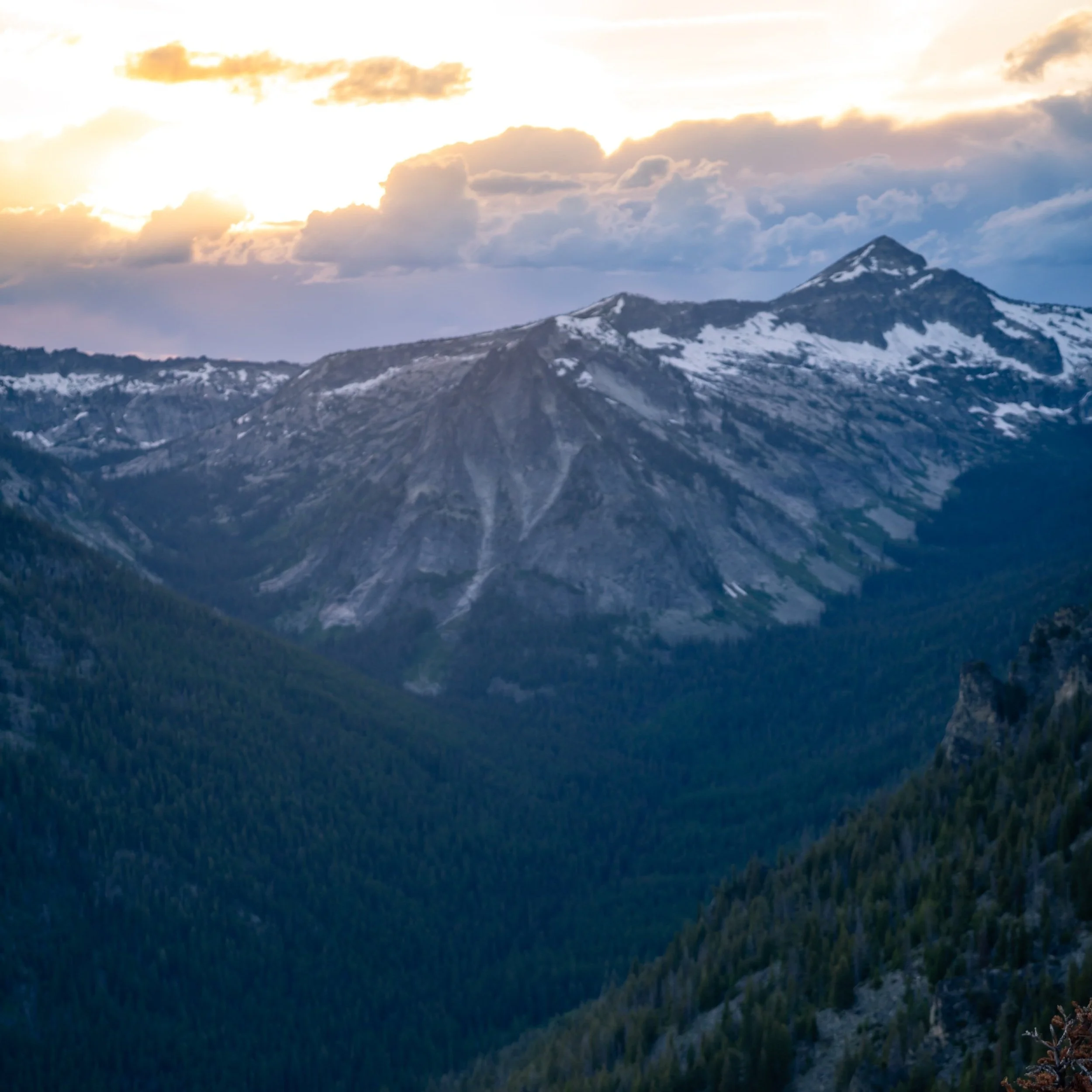 Bear Creek Overlook