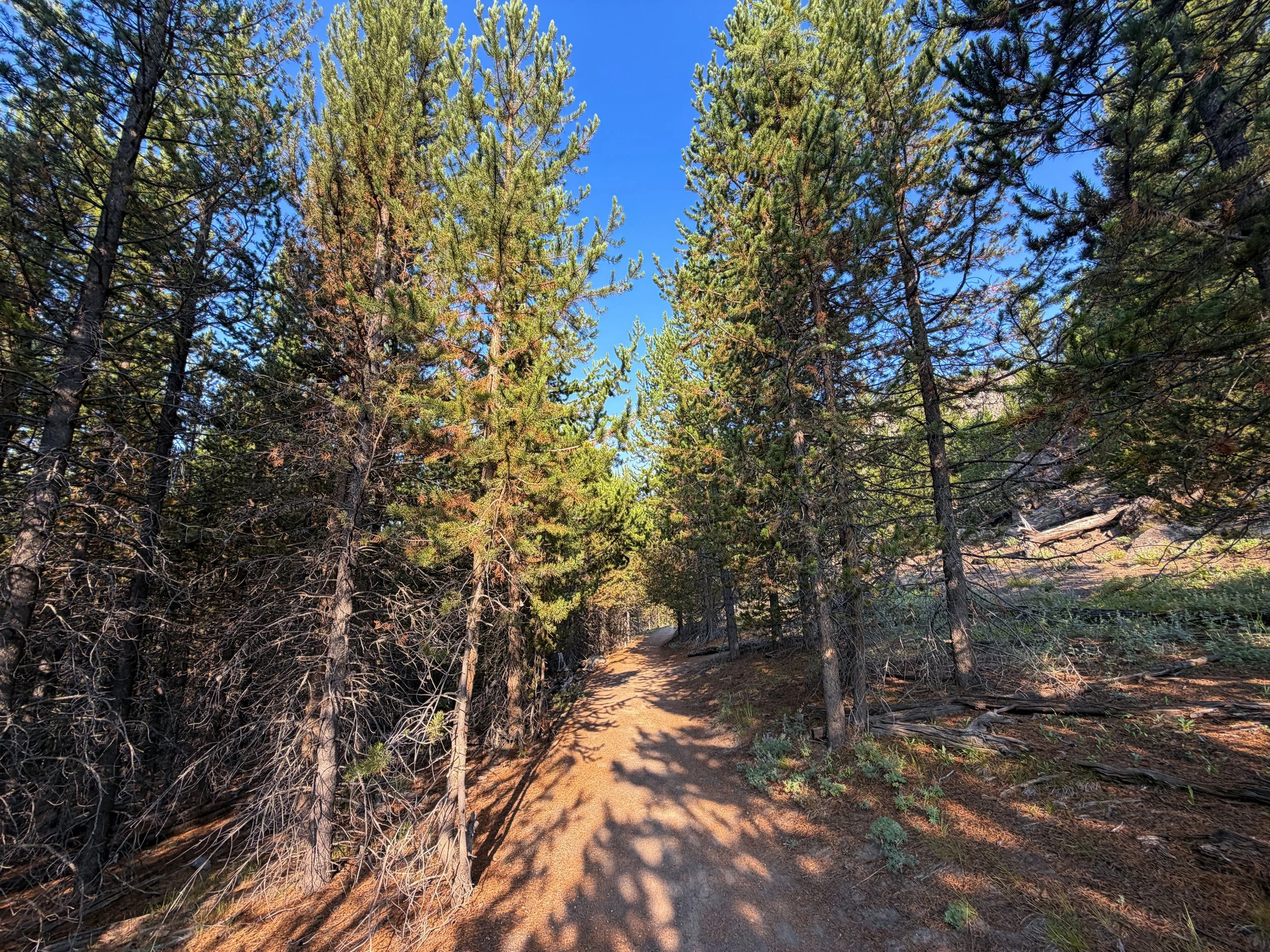 Mystic Falls Hike Yellowstone National Park Wyoming