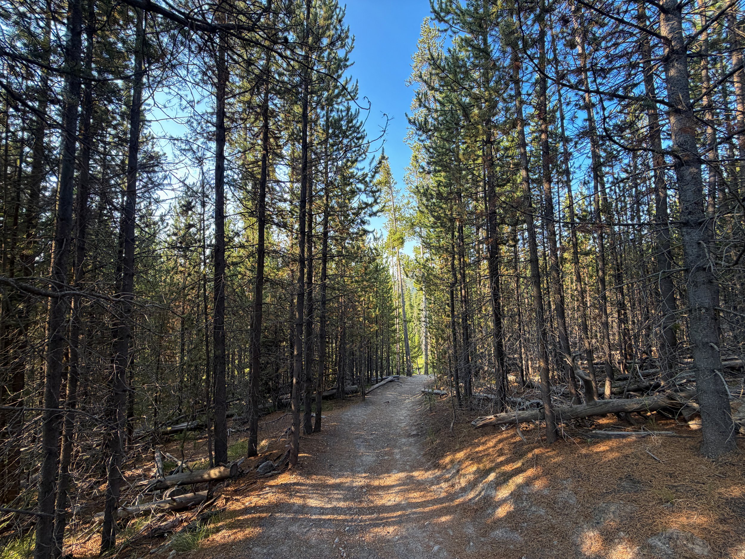 Mystic Falls Loop Trail Yellowstone National Park Wyoming