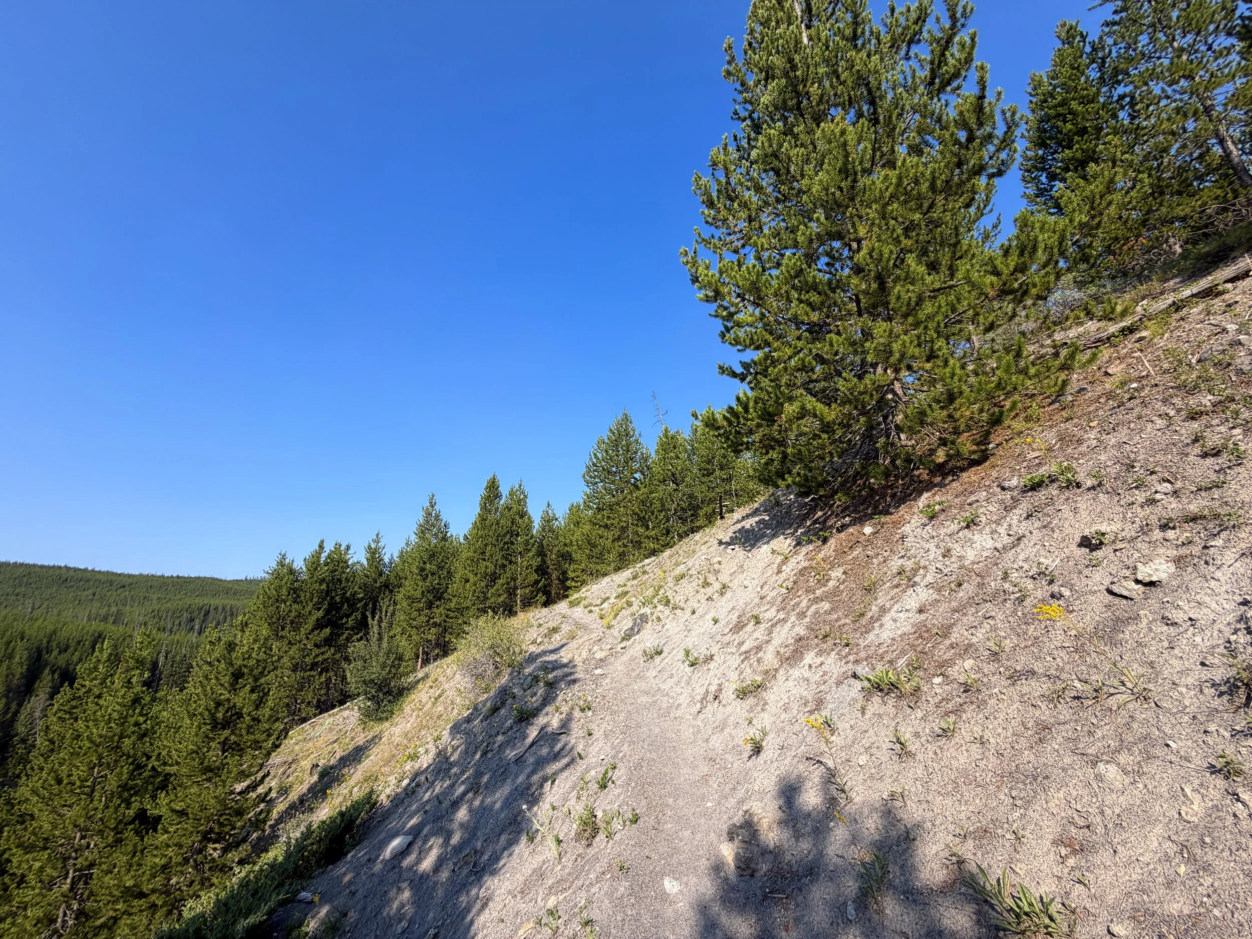 Mystic Falls Trail Yellowstone National Park Wyoming