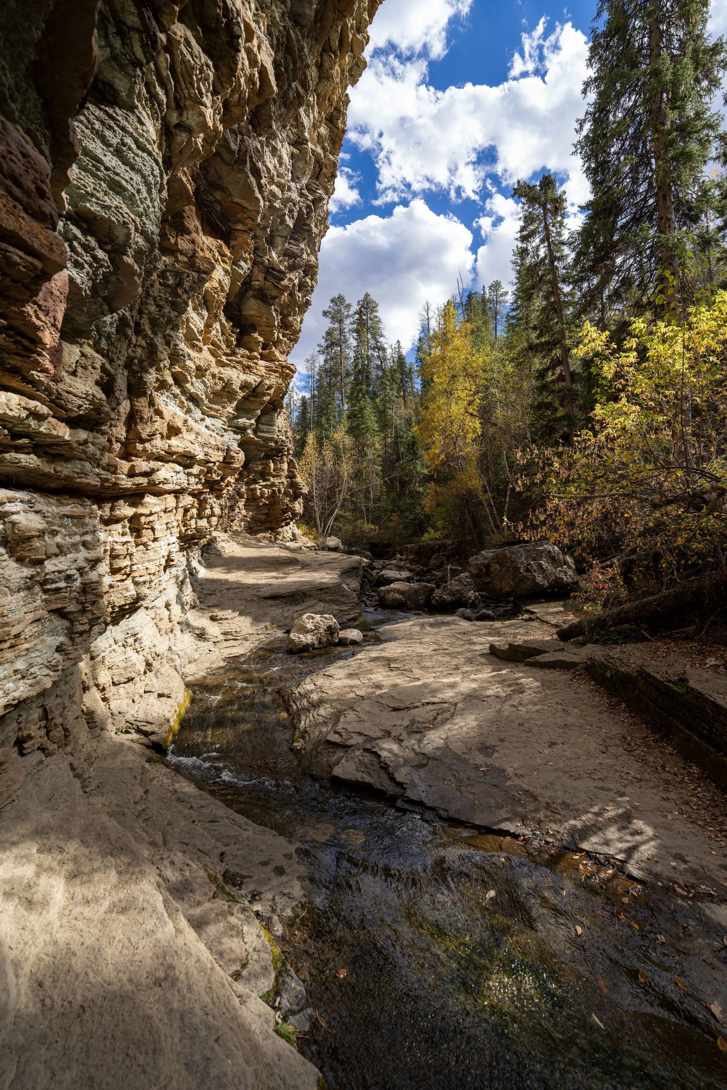 Hiking the Devil’s Bathtub Trail in Spearfish Canyon of the Black Hills, South Dakota