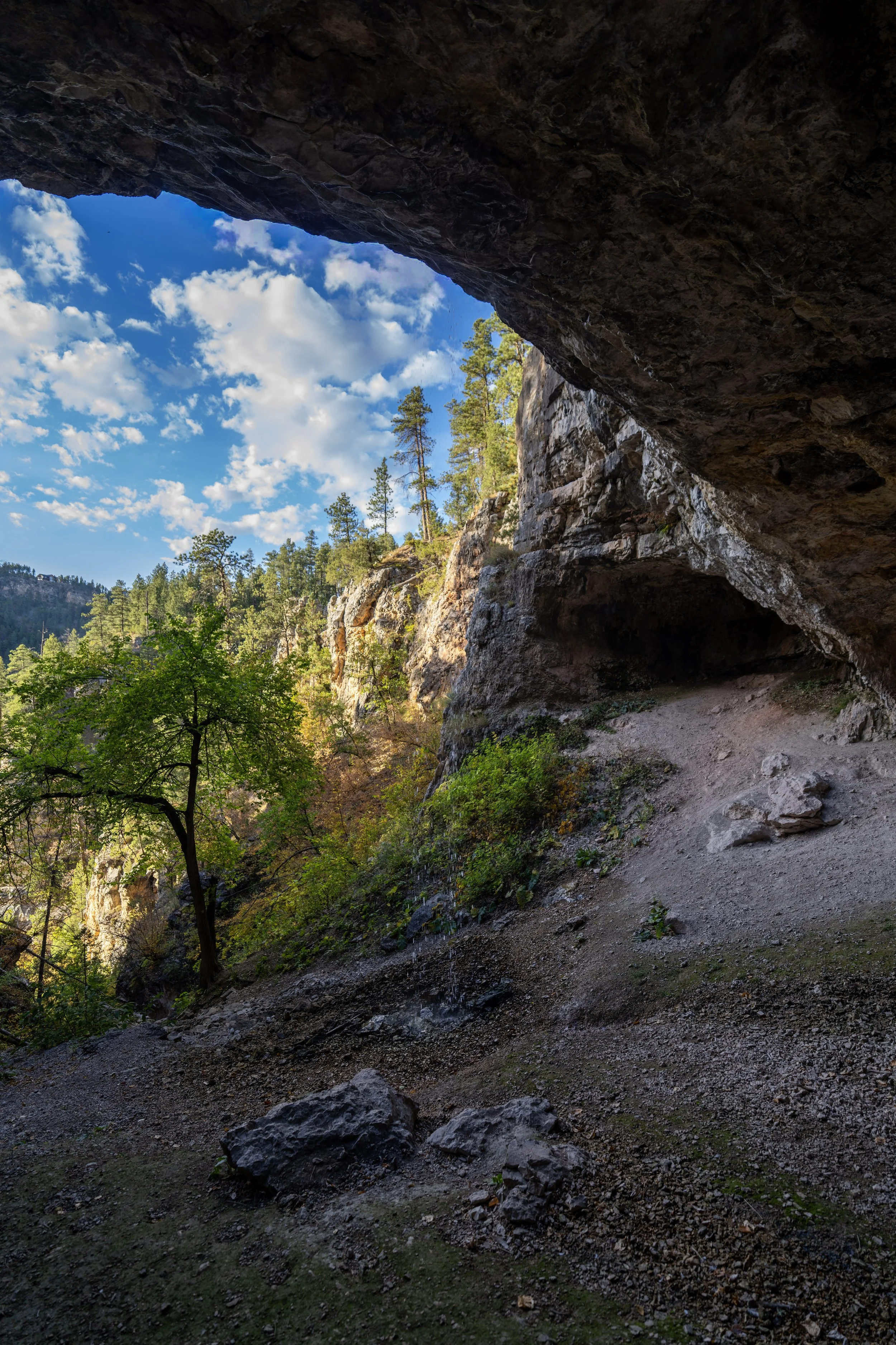 Hiking the Community Caves Trail in Spearfish Canyon of the Black Hills, South Dakota