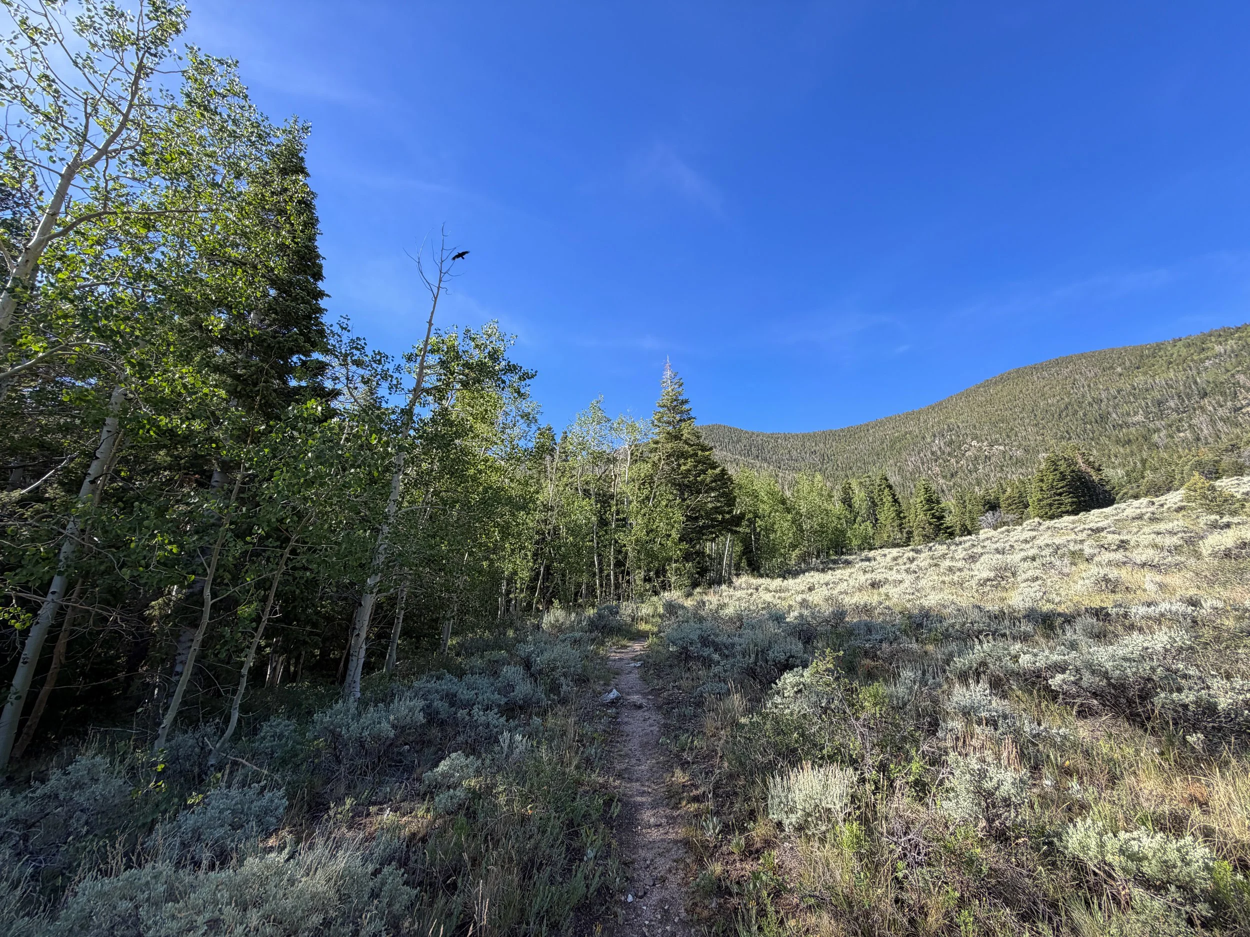Pole Canyon Hike Great Basin National Park Nevada