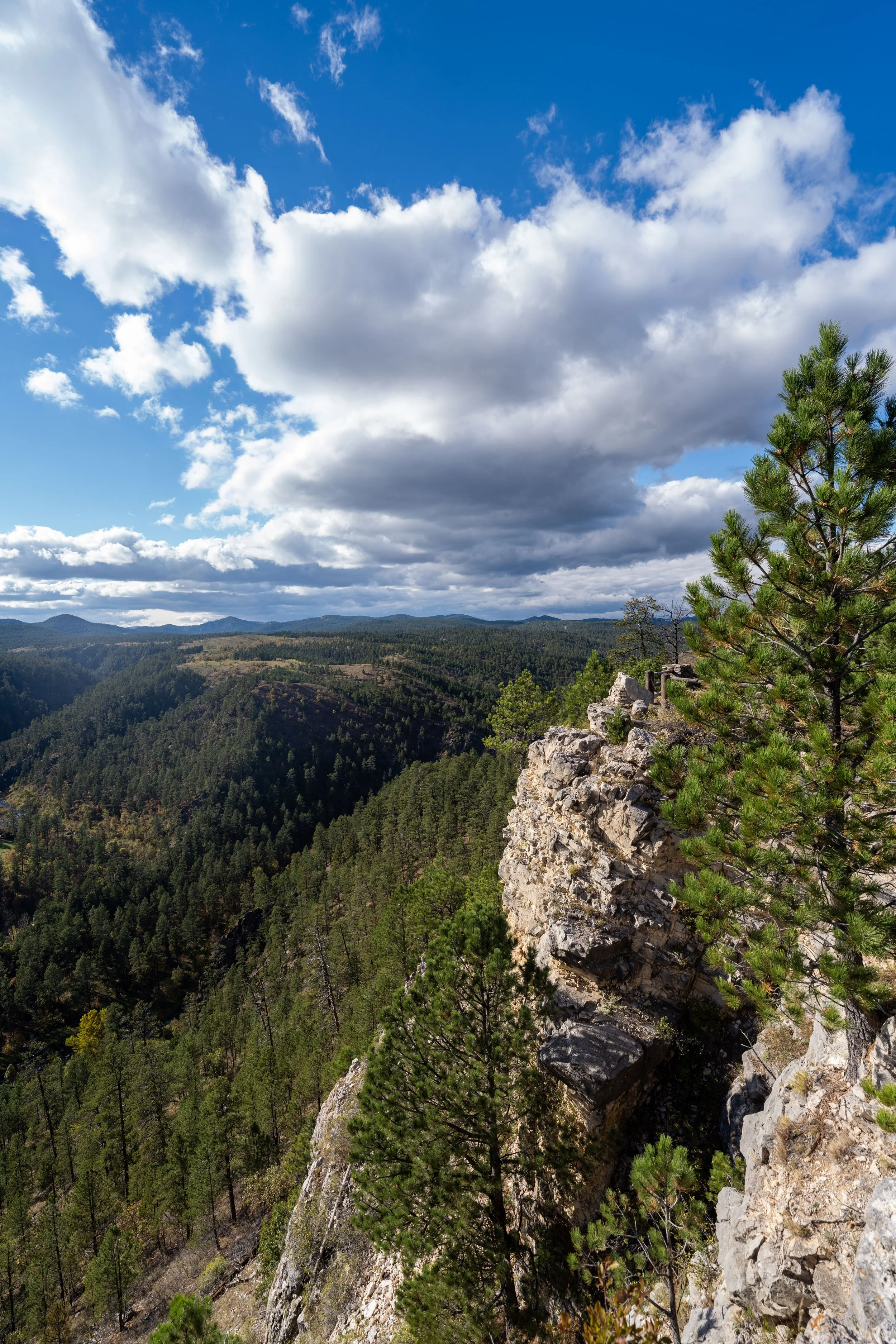 Hiking the Stratobowl Rim Trail in the Black Hills, South Dakota