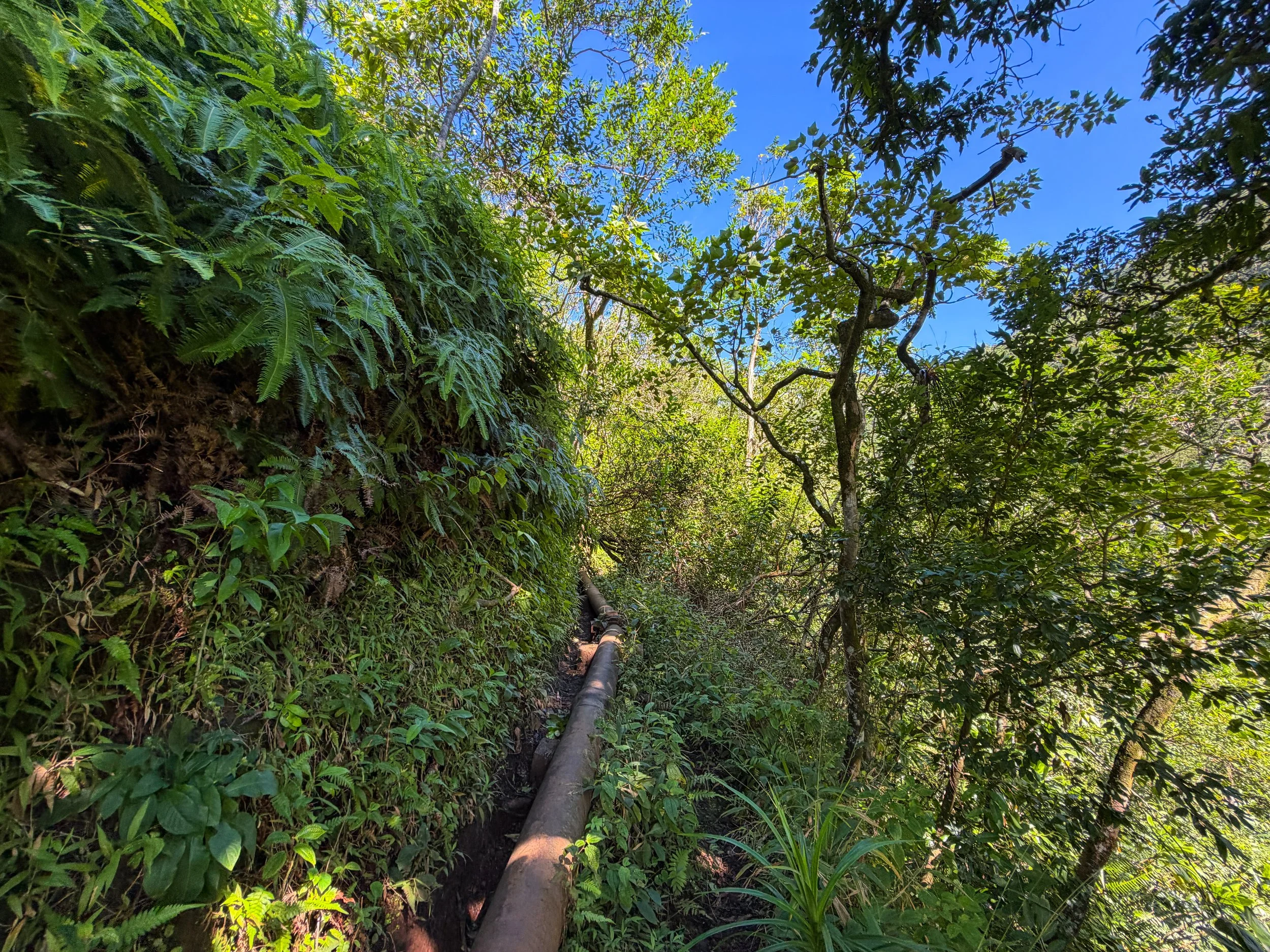 Kaau Crater Trail Oahu Hawaii