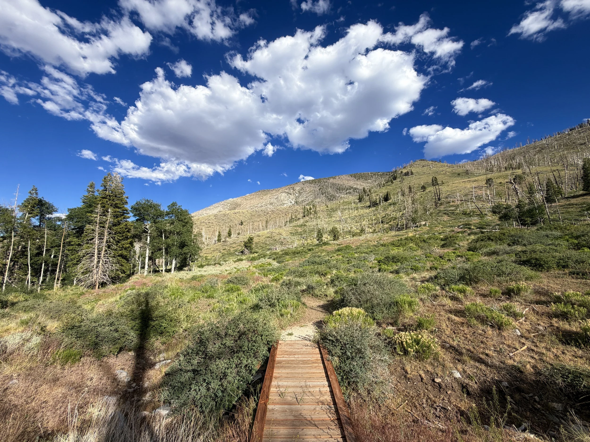 Sage Steppe Loop Trail Great Basin National Park Nevada