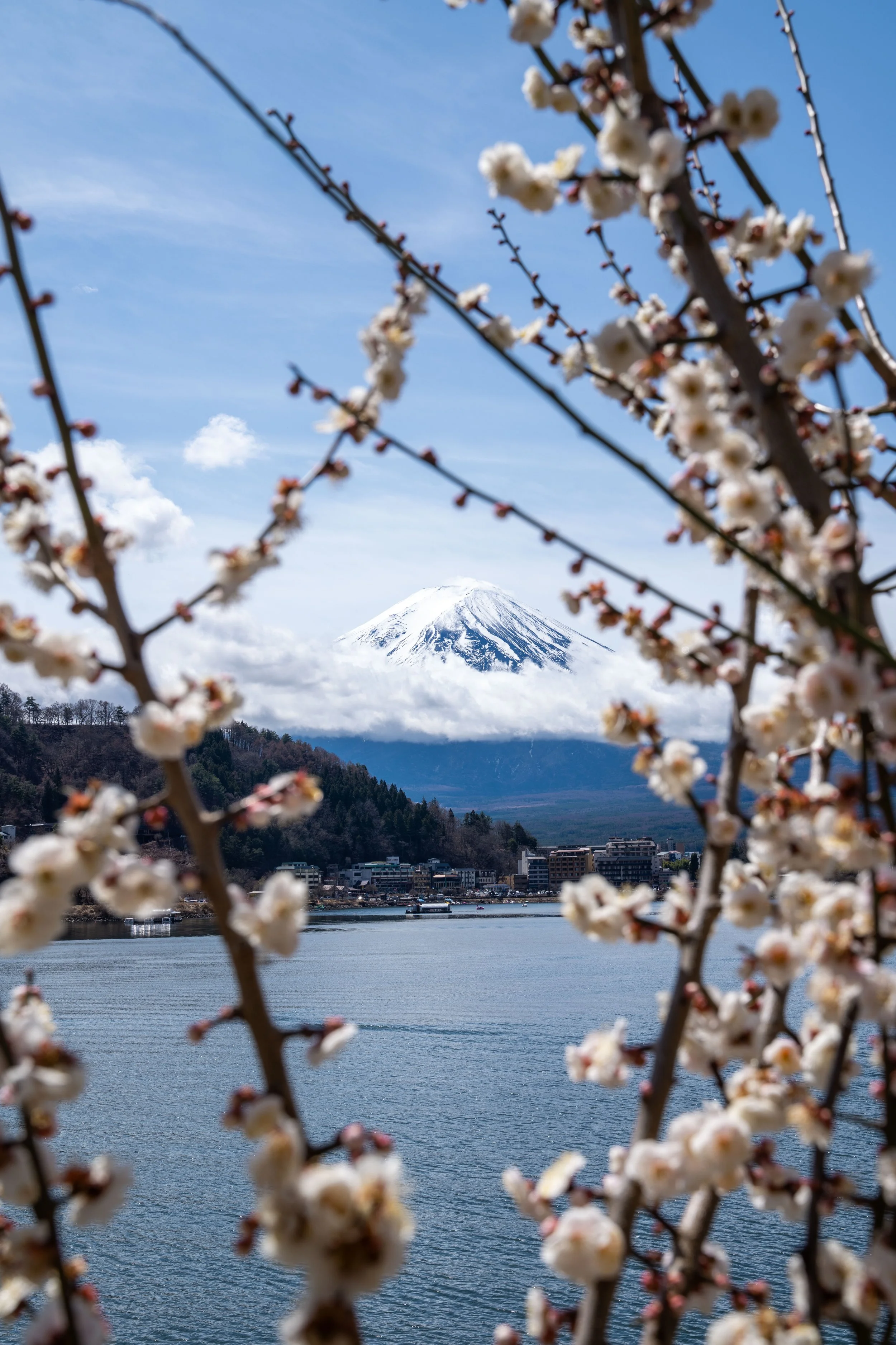 10 Essential Items Before Traveling Internationally