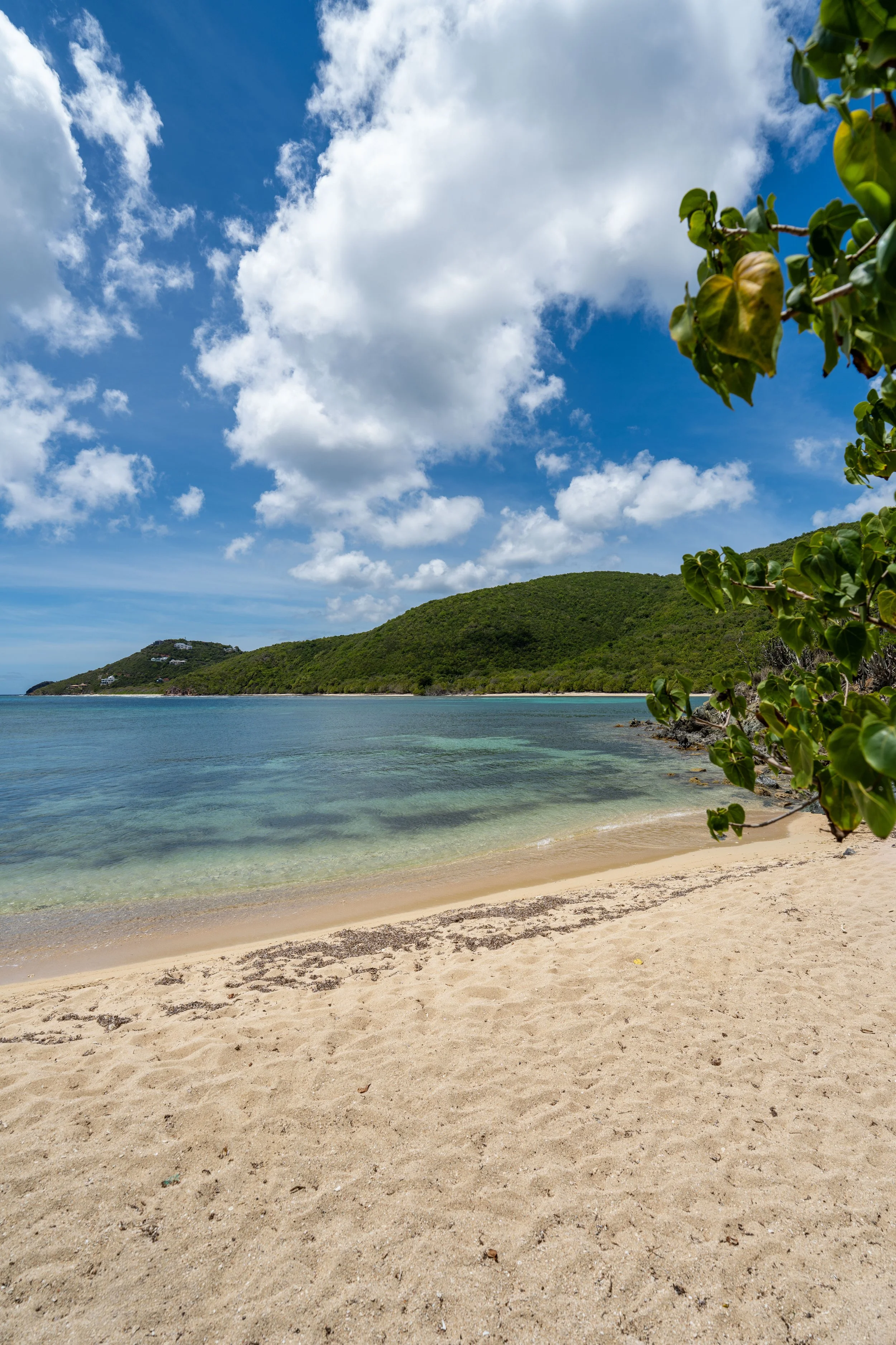 Hiking the Reef Bay Trail in Virgin Islands National Park