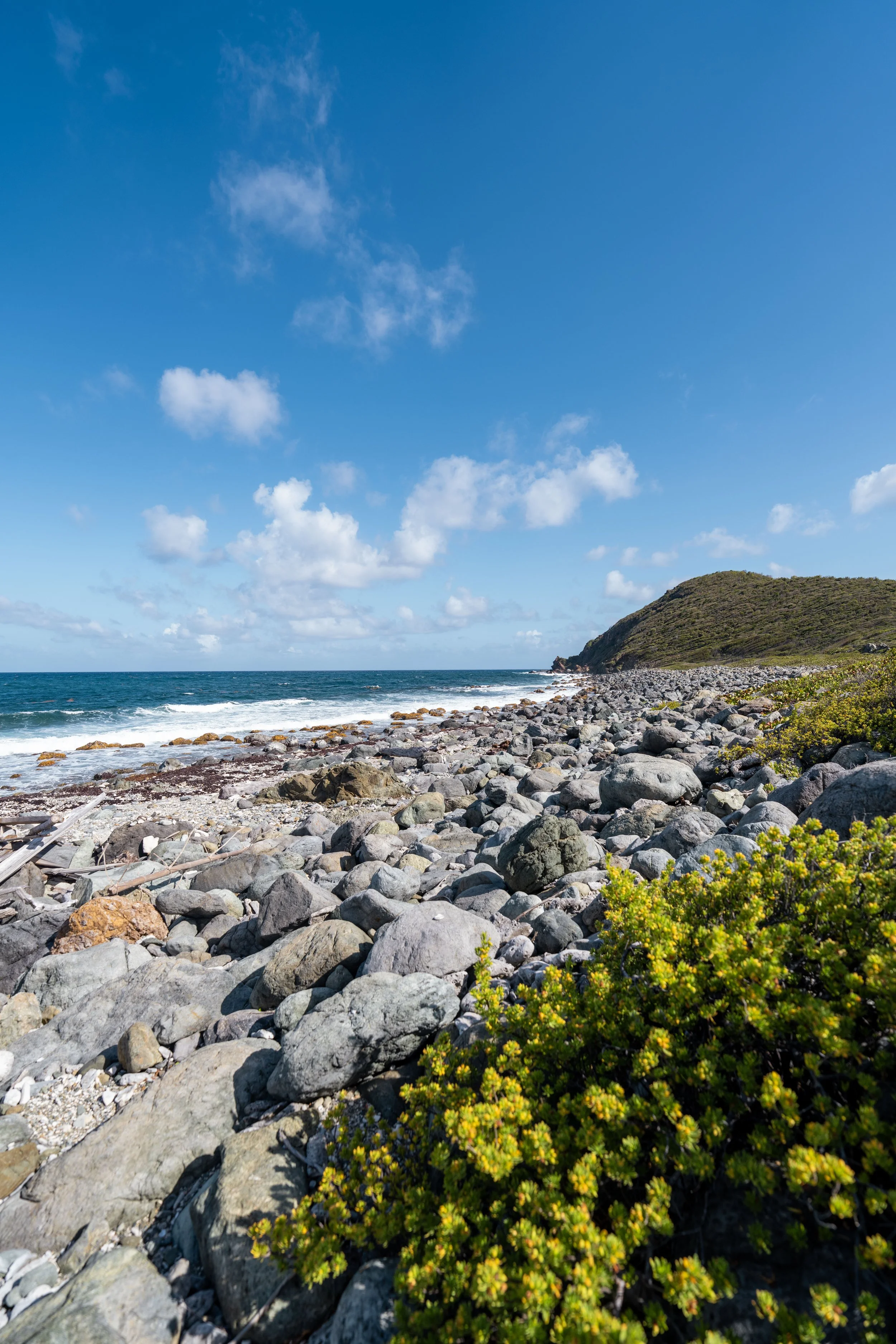 Hiking the Drunk Bay Trail in Virgin Islands National Park