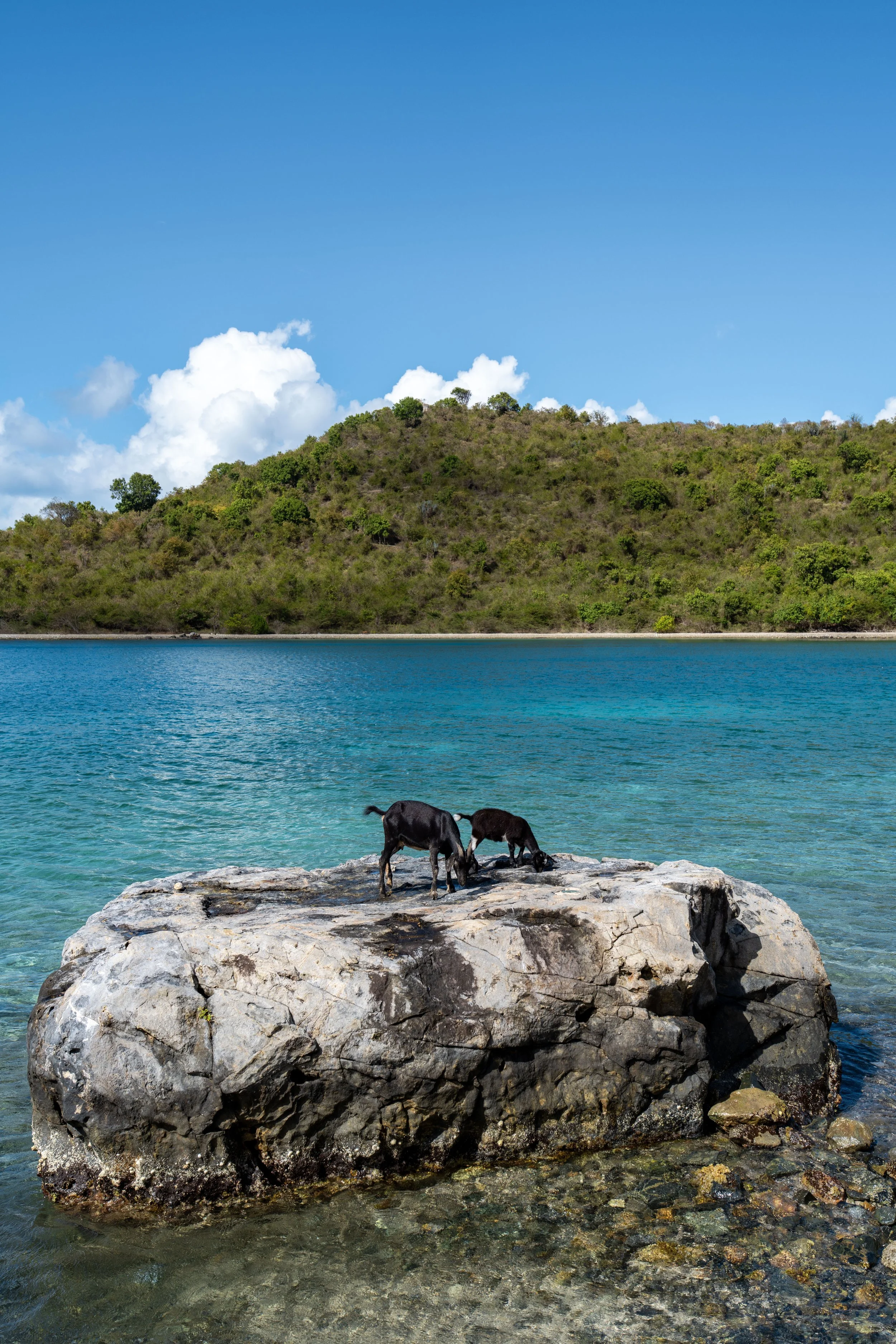Hiking the Leinster Bay Trail to Waterlemon Cay in Virgin Islands National Park