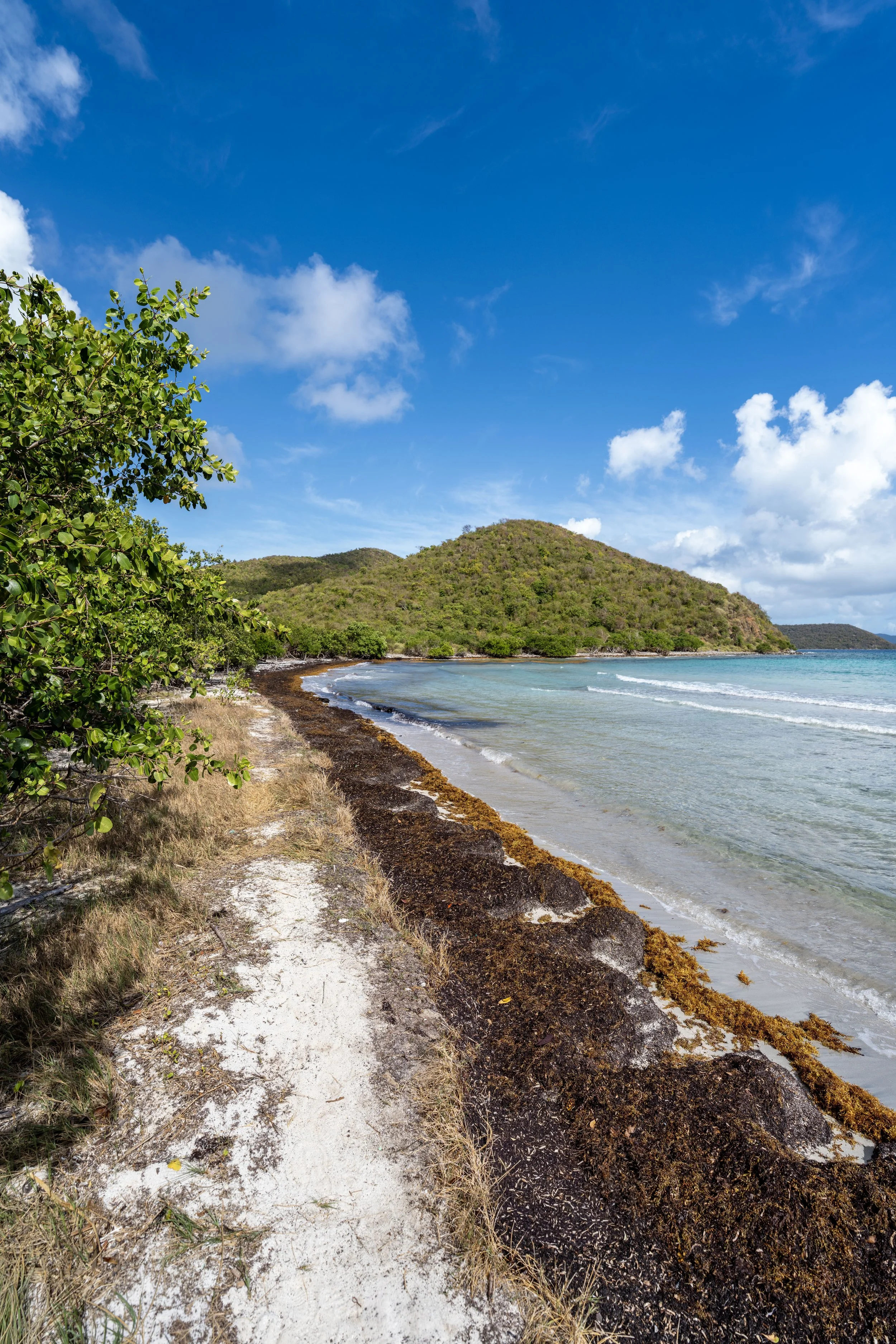 Hiking the Brown Bay Trail in Virgin Islands National Park