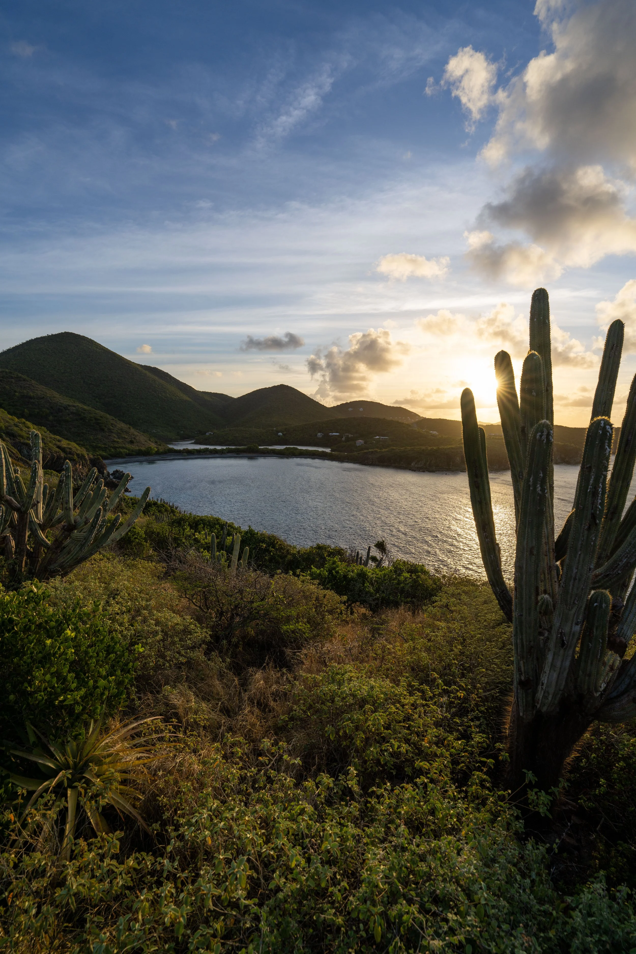 Hiking the Tektite &amp; Cabritte Horn Trail in Virgin Islands National Park