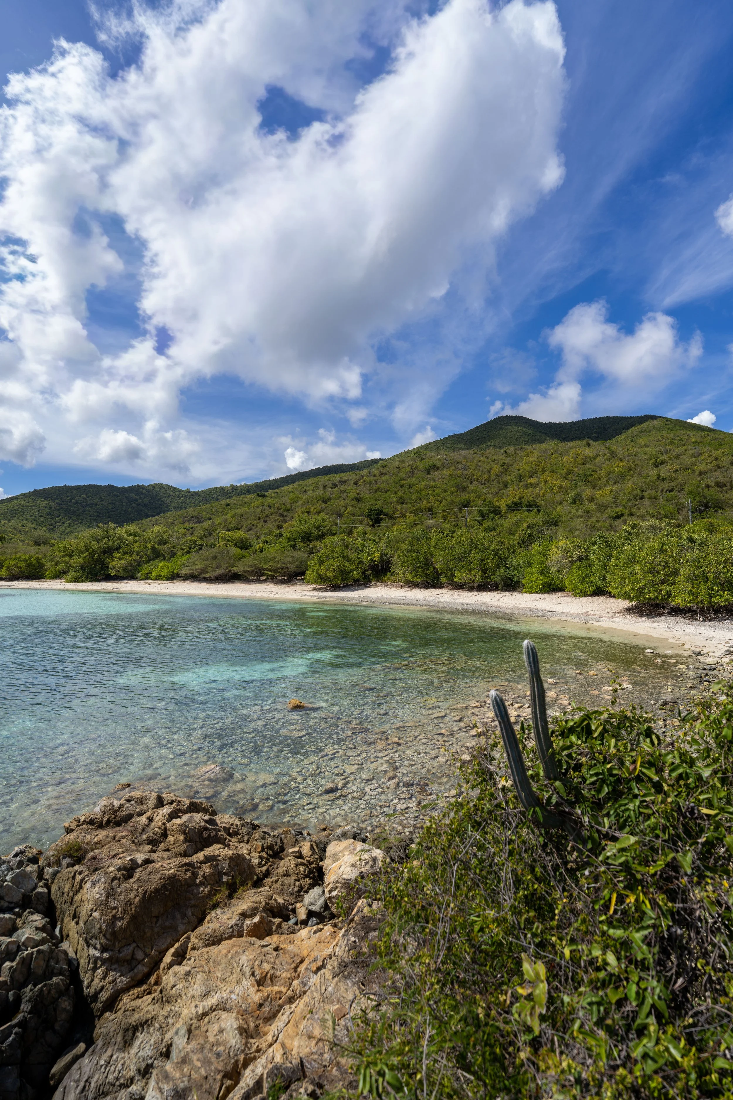 Hiking the Yawzi Point Trail in Virgin Islands National Park
