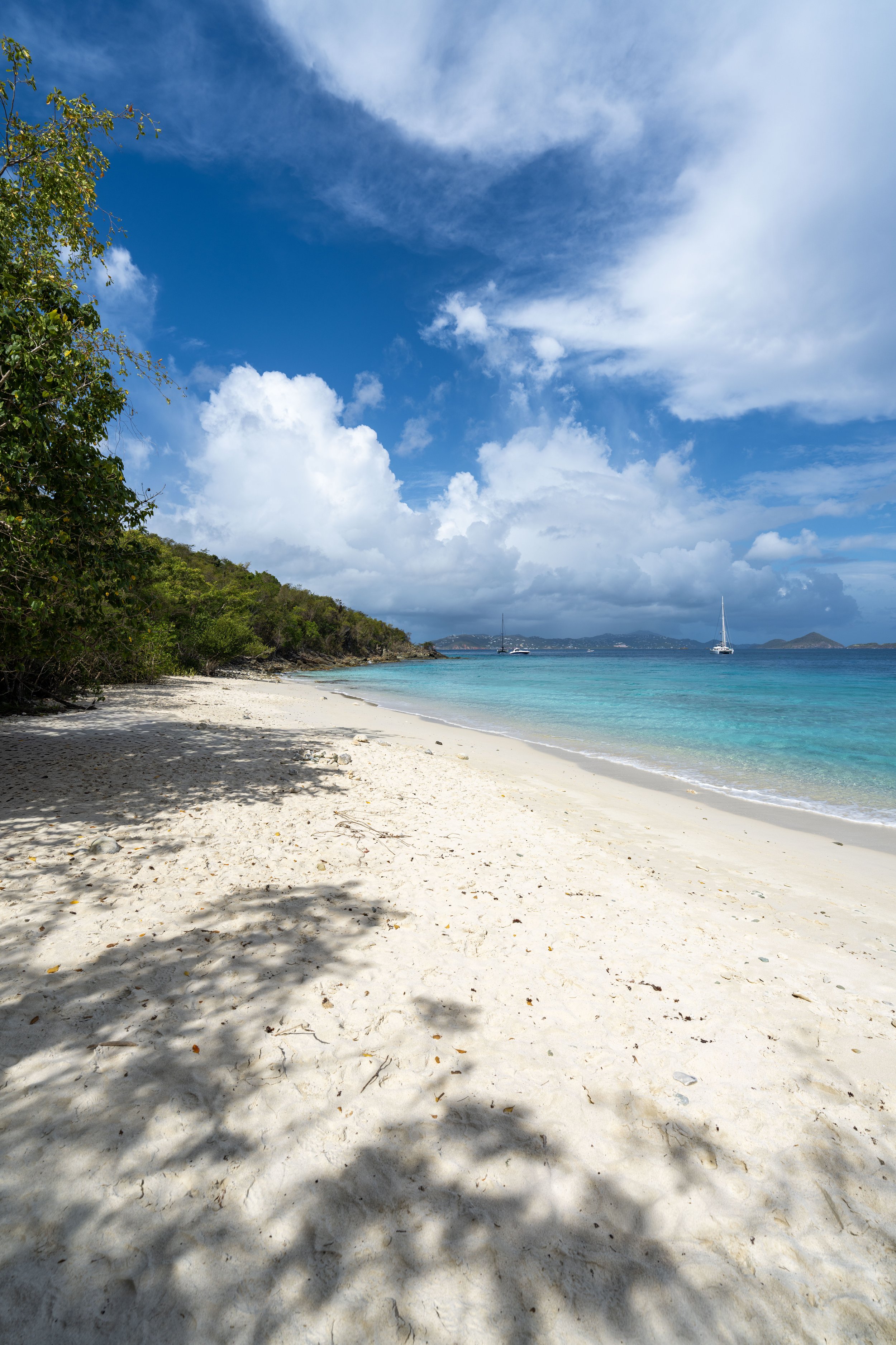 Hiking the Lind Point Trail in Virgin Islands National Park