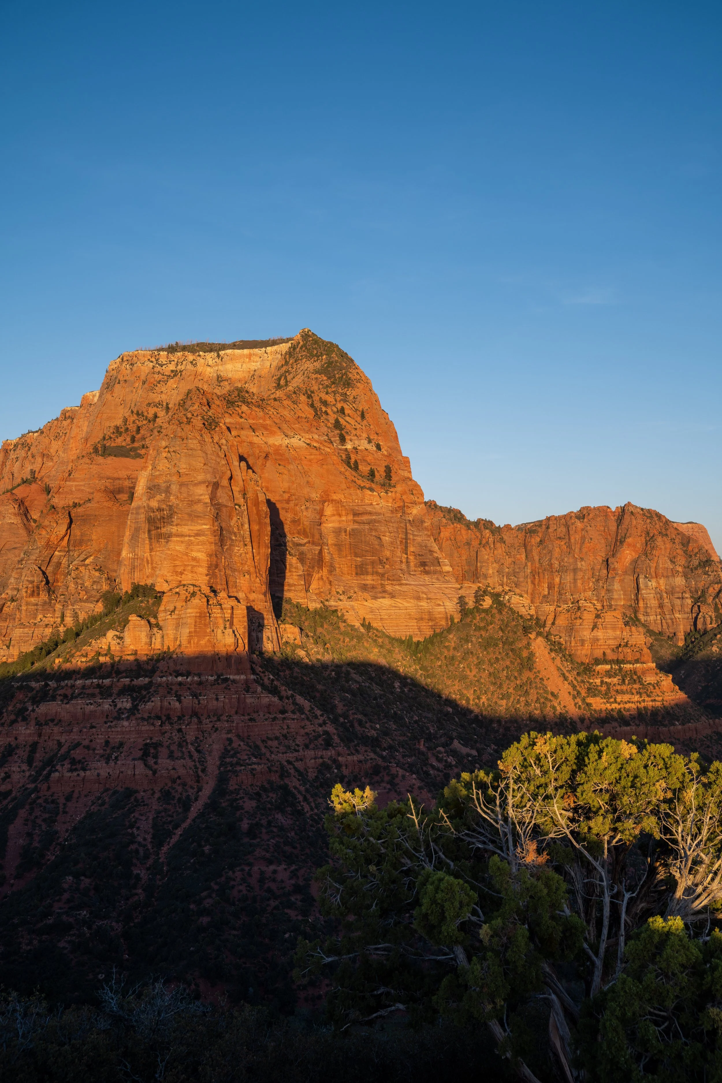 Hiking the Timber Creek Overlook Trail in Zion National Park