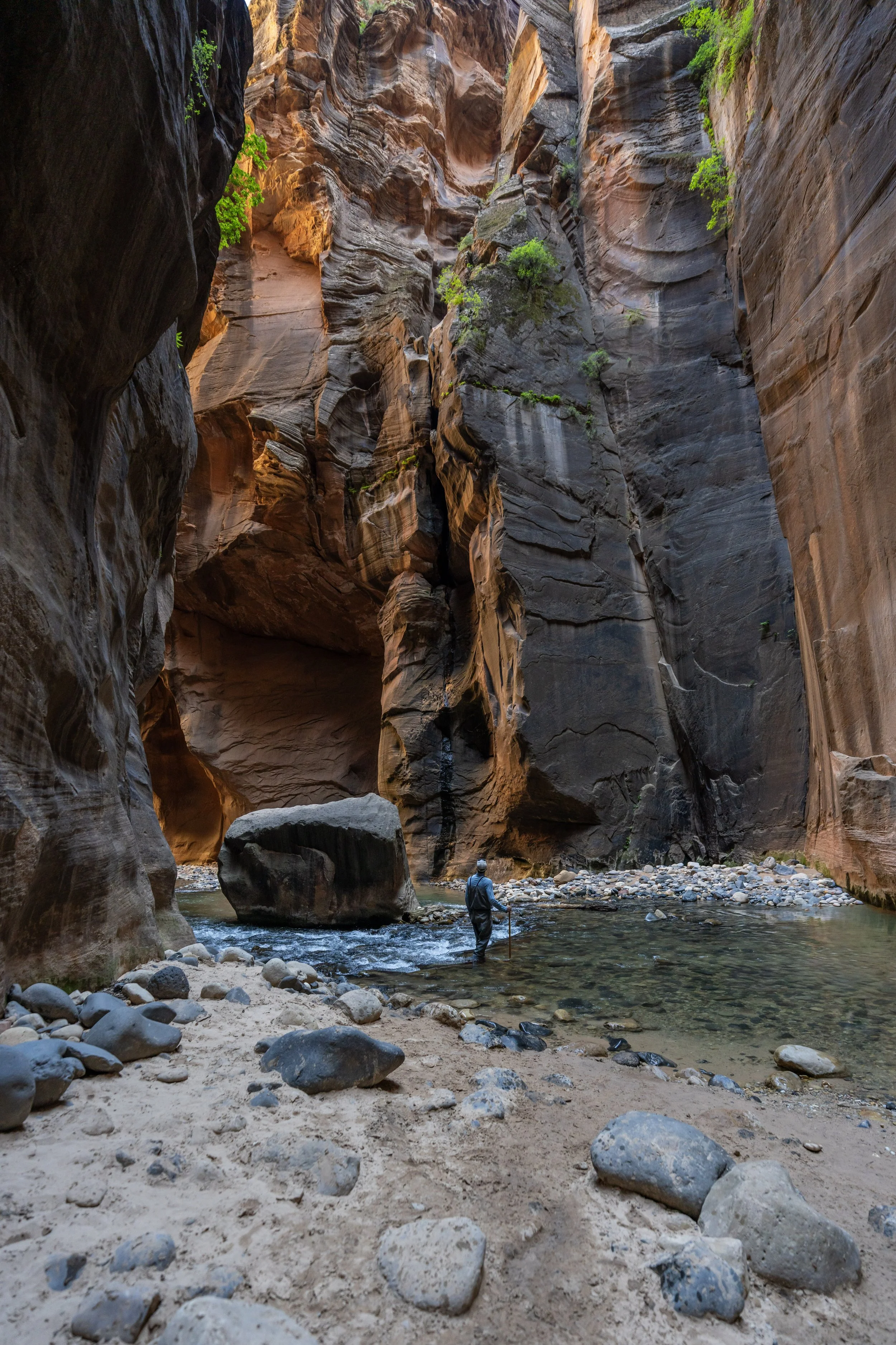 Hiking the Narrows (Bottom-Up to Big Springs) in Zion National Park