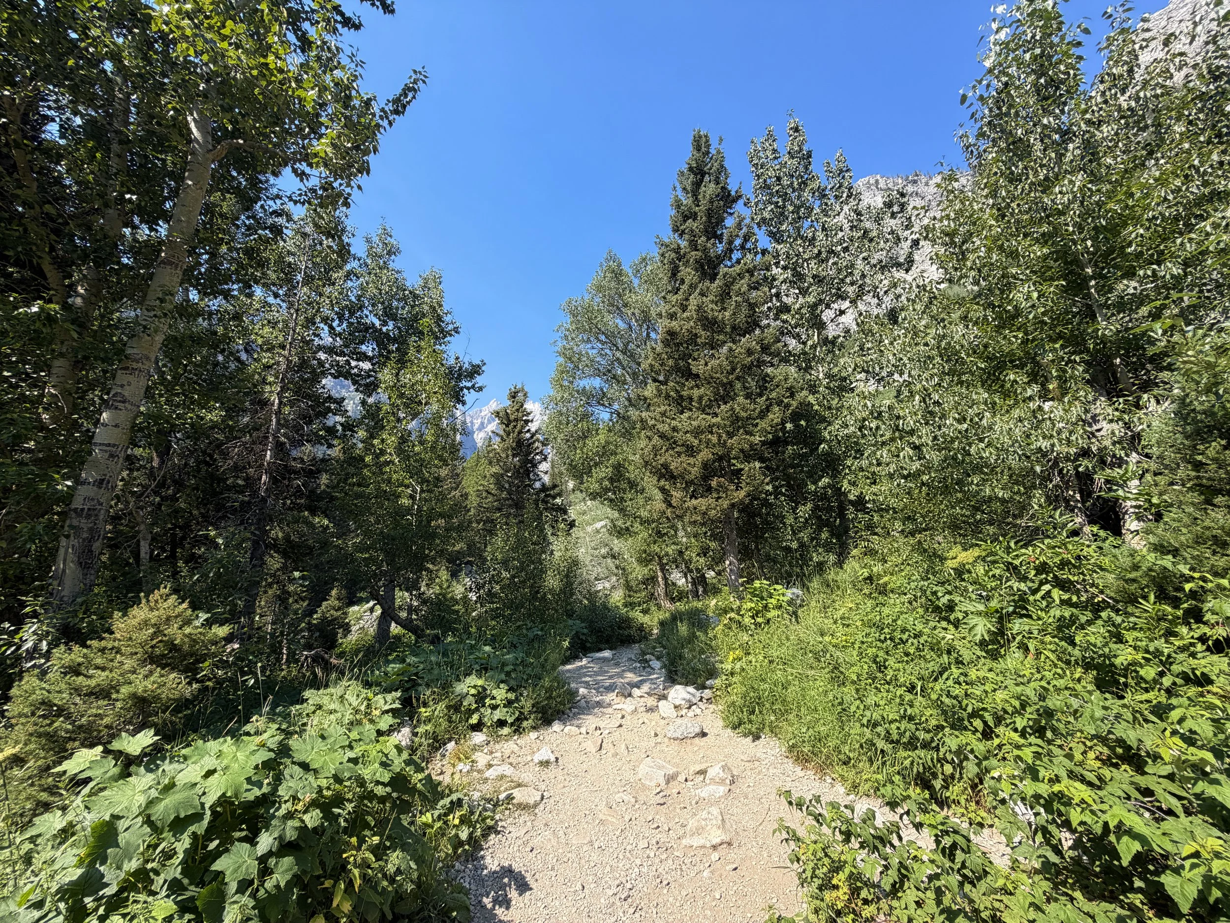 Cascade Canyon Trail Grand Teton National Park Wyoming