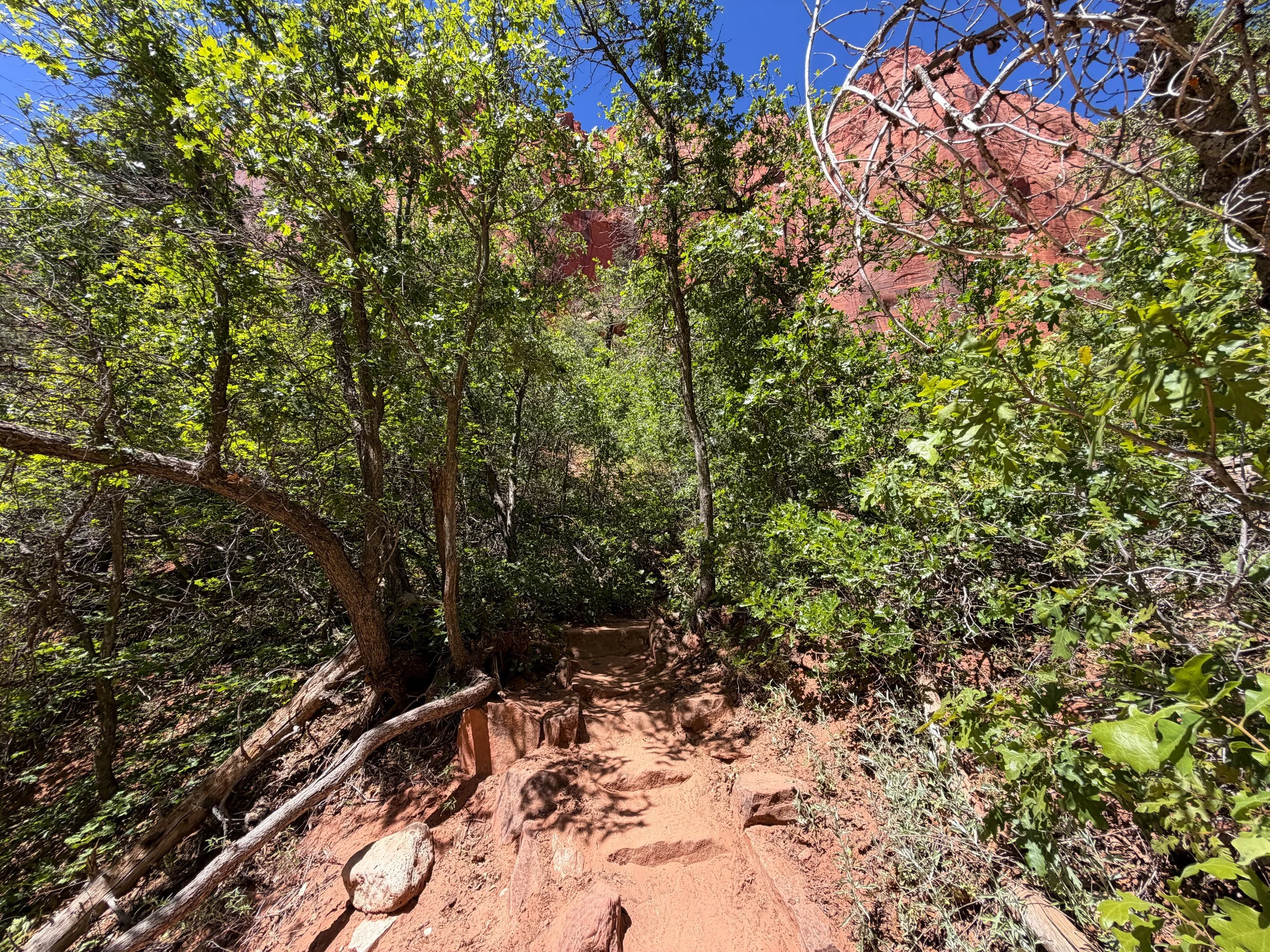Taylor Creek Trail Zion National Park Utah