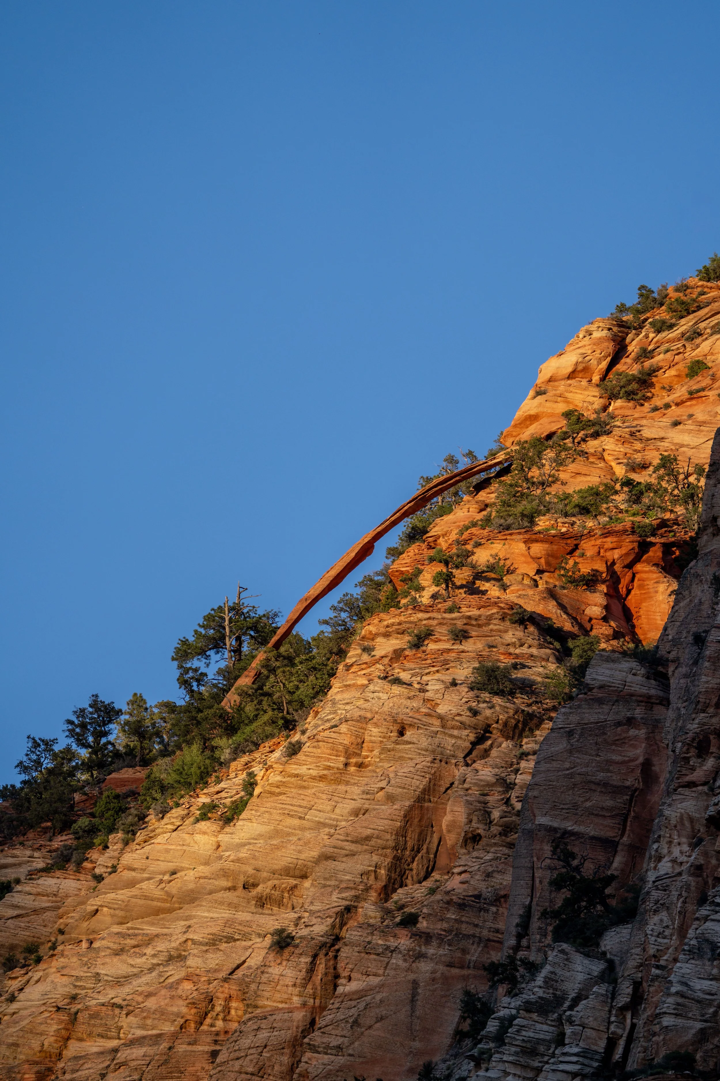 Hiking the Watchman Trail in Zion National Park